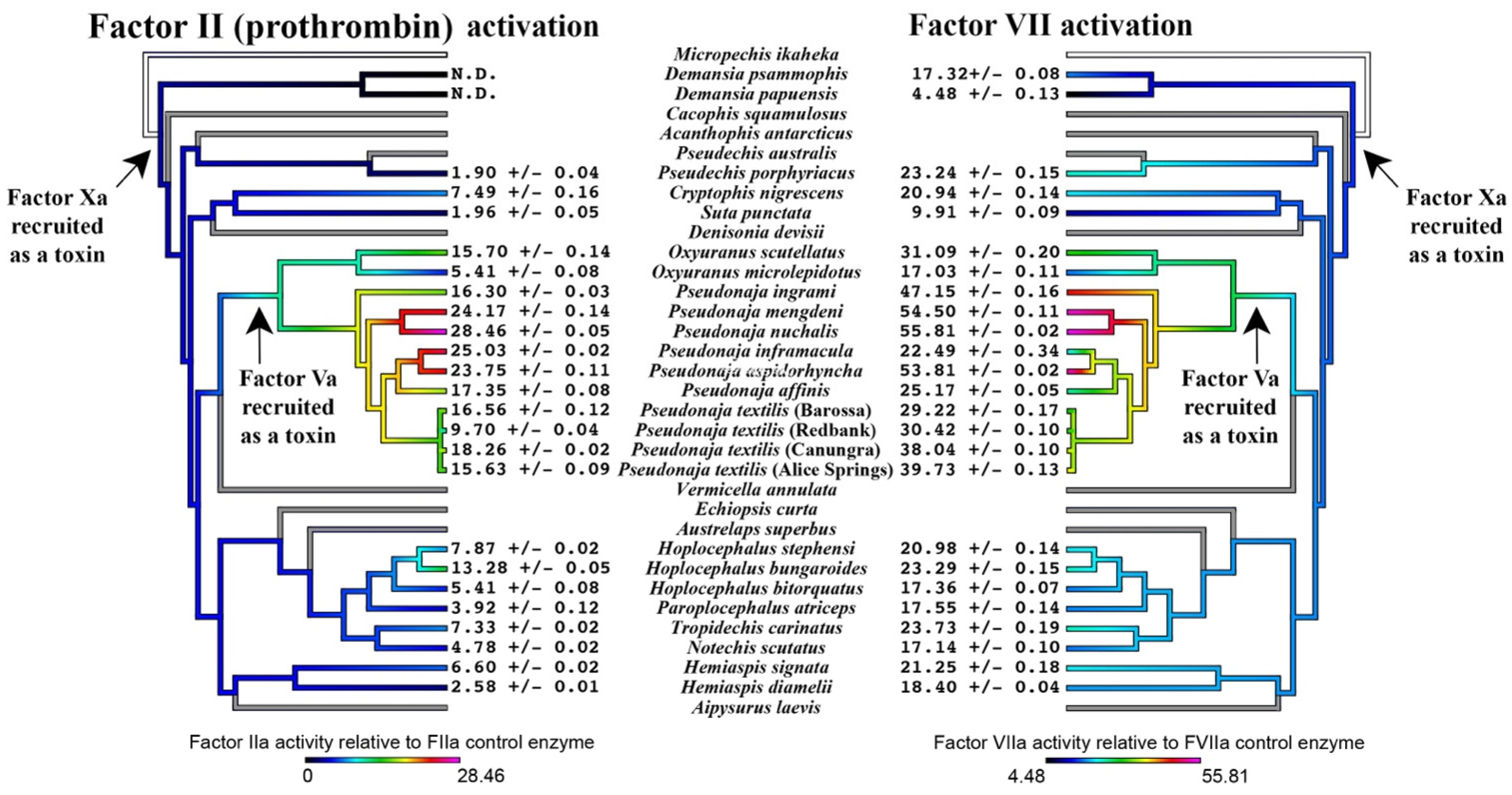 Toxins 16 00430 g005
