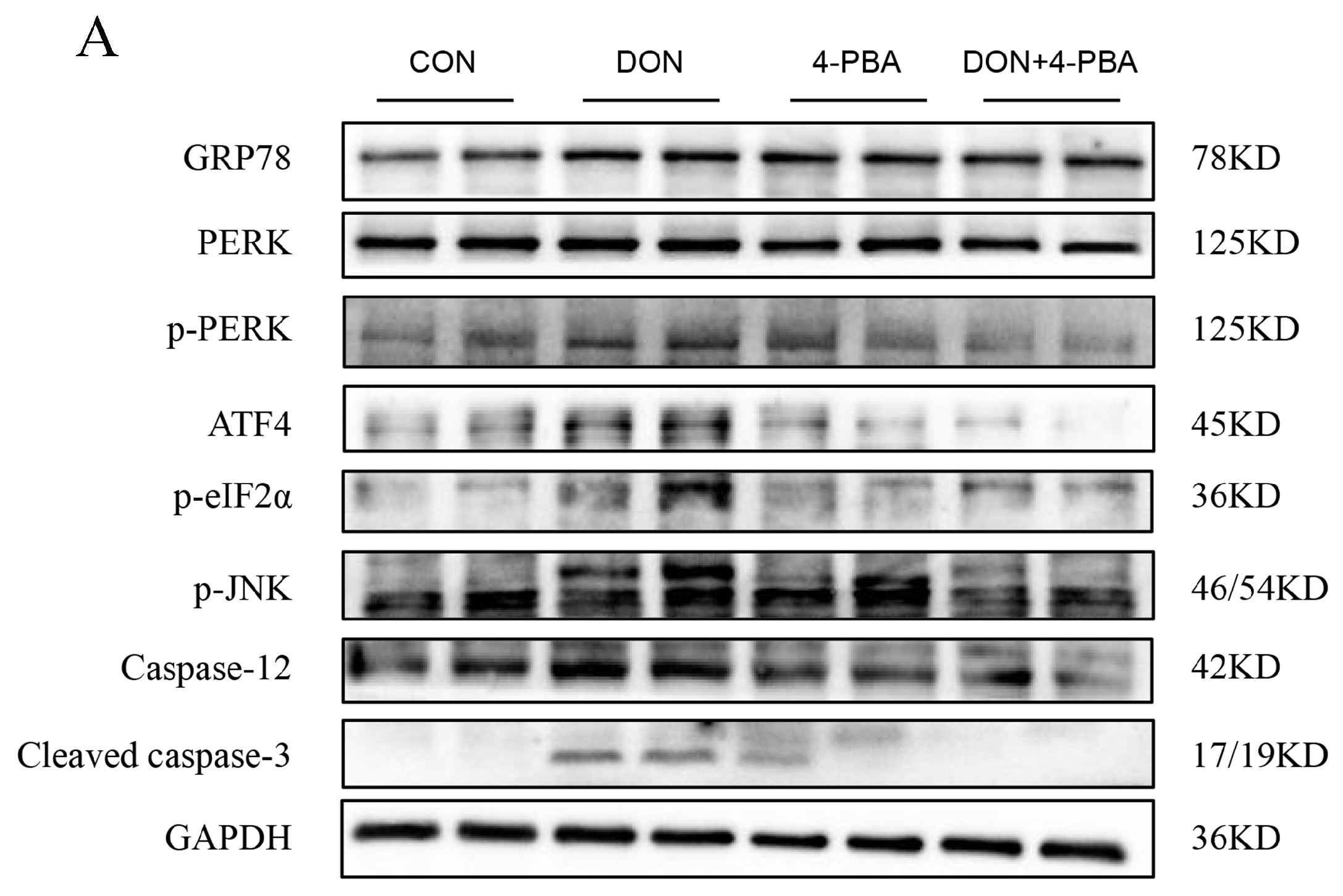 Toxins 16 00432 g004a