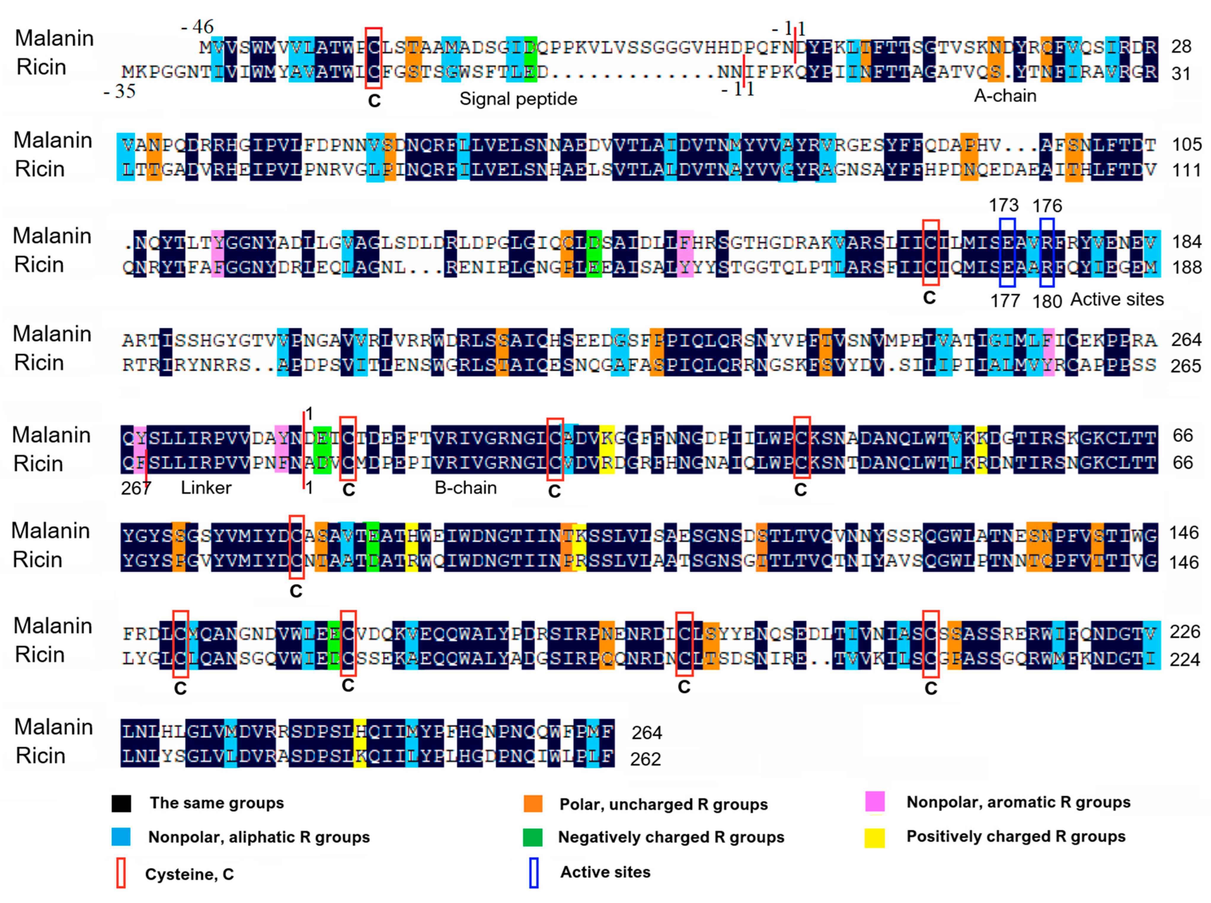 Toxins 16 00440 g001 Toxins 16 00440 g001