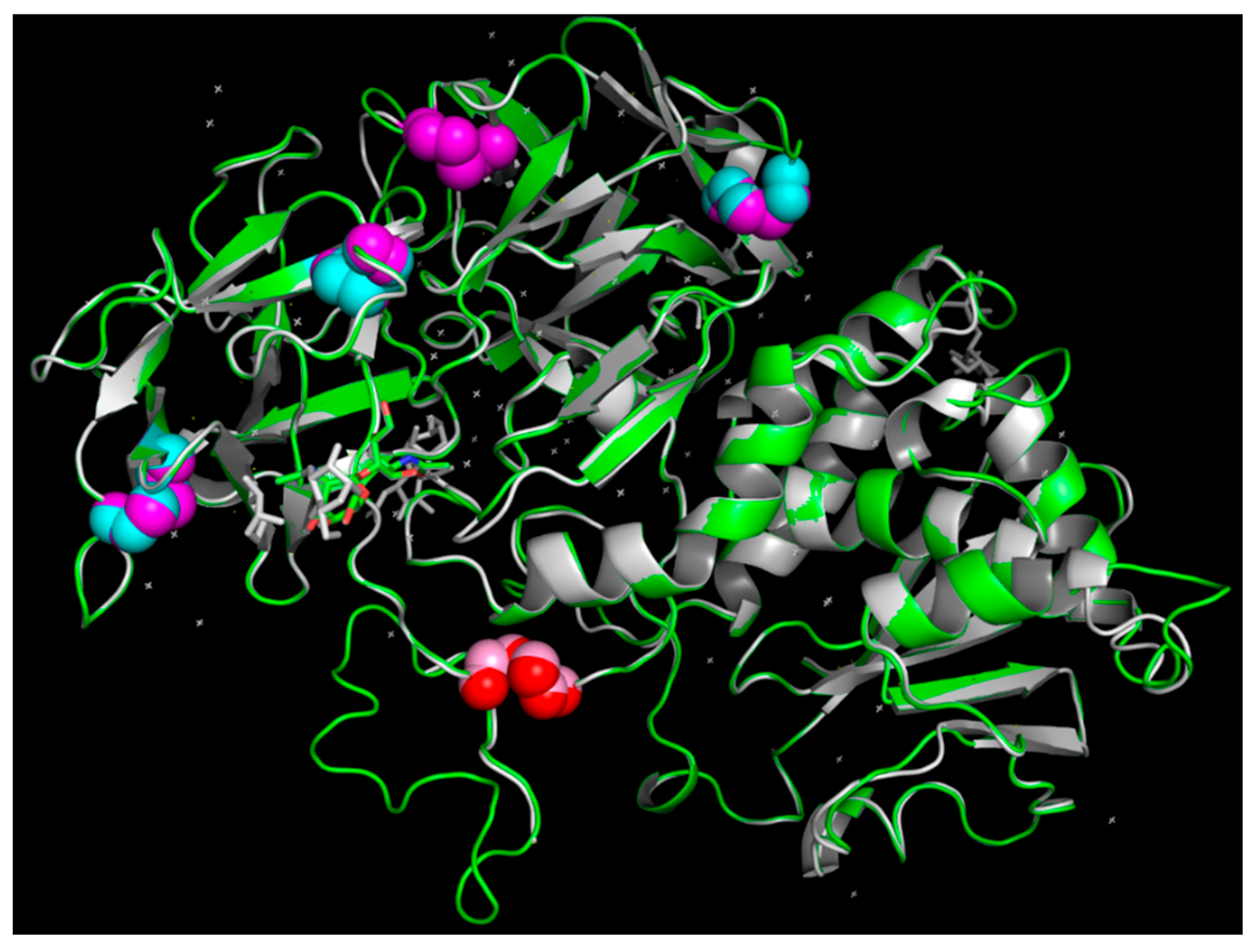 Toxins 16 00440 g004 Toxins 16 00440 g004