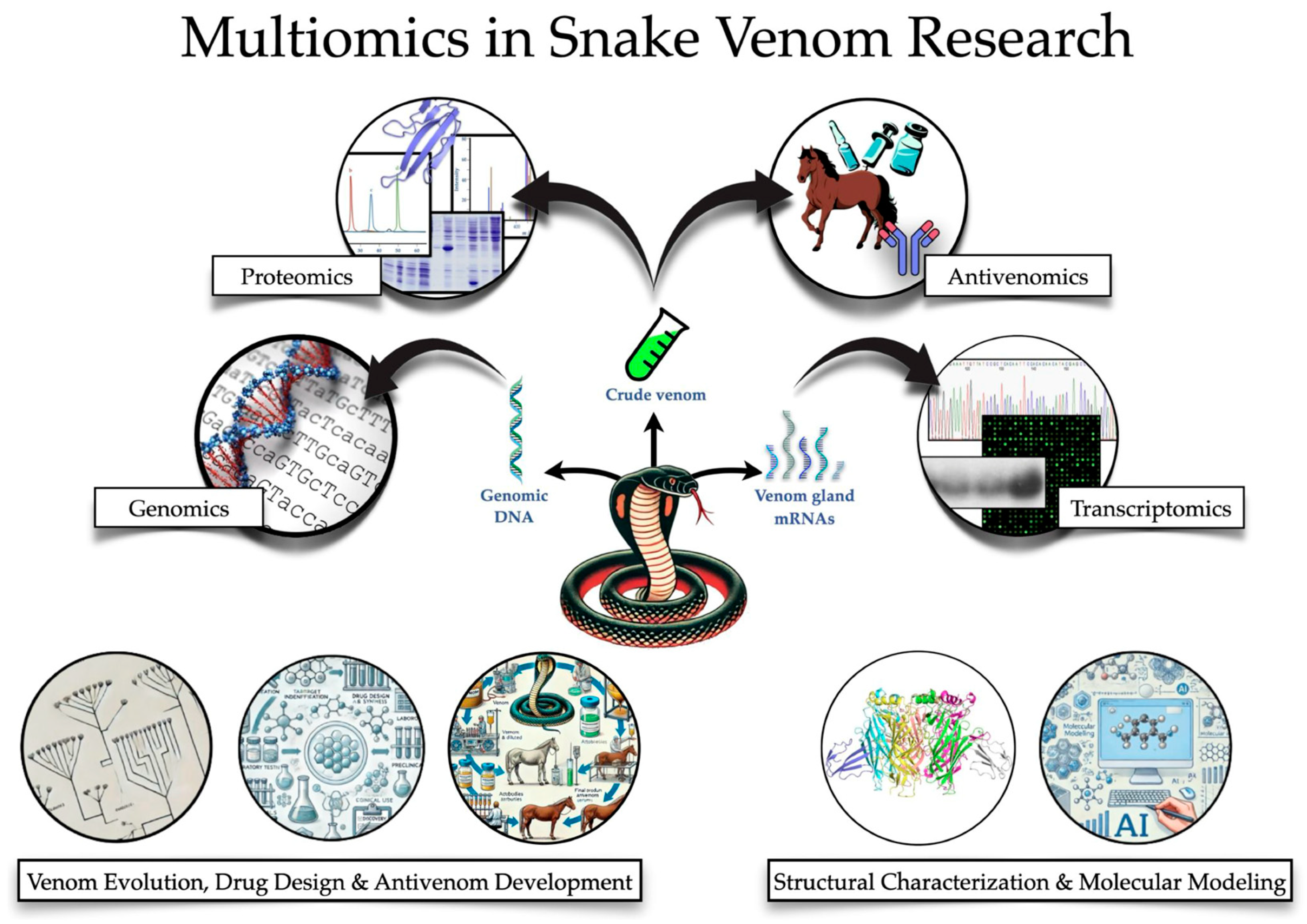 Toxins 16 00458 g001