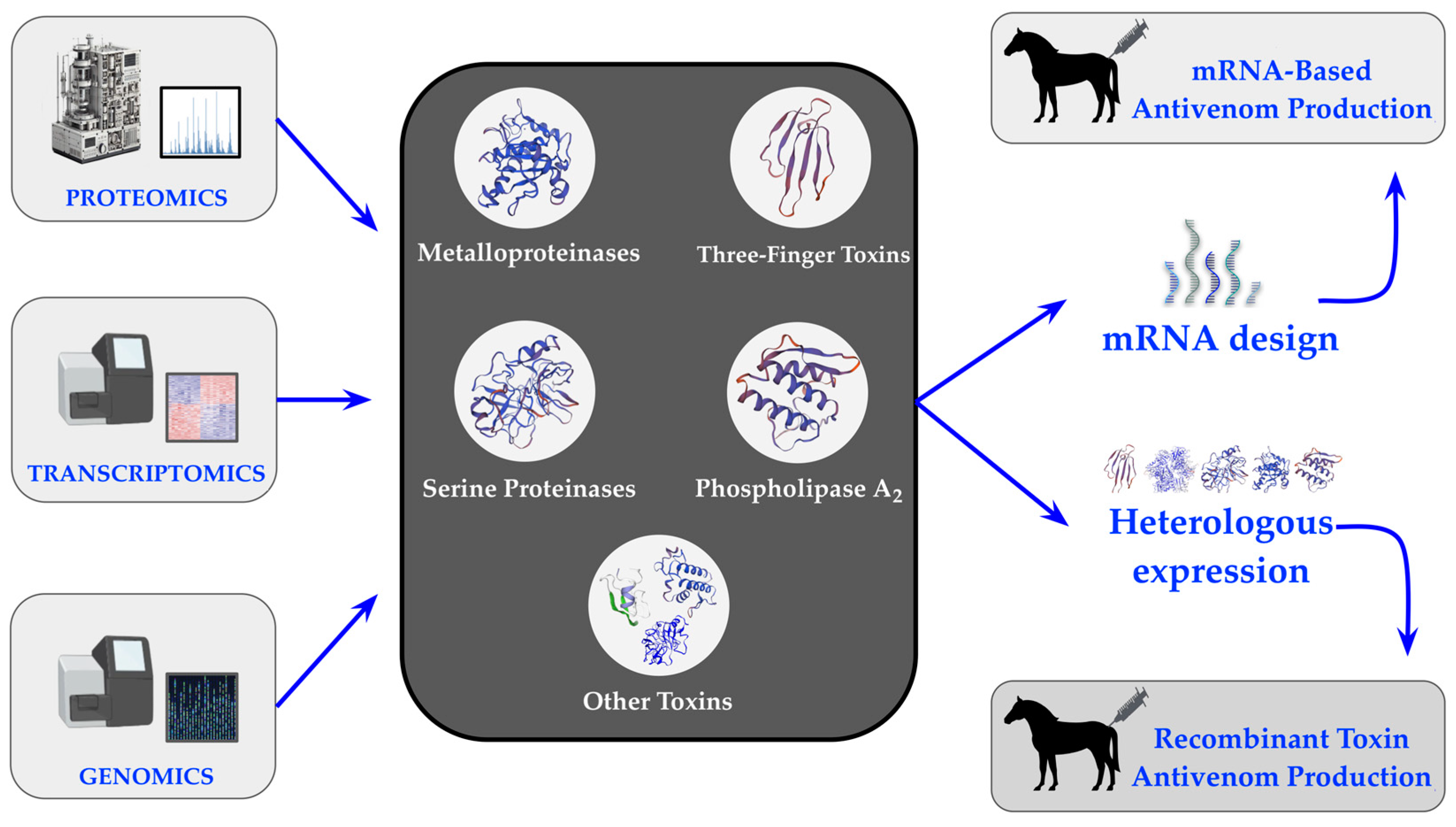 Toxins 16 00458 g002