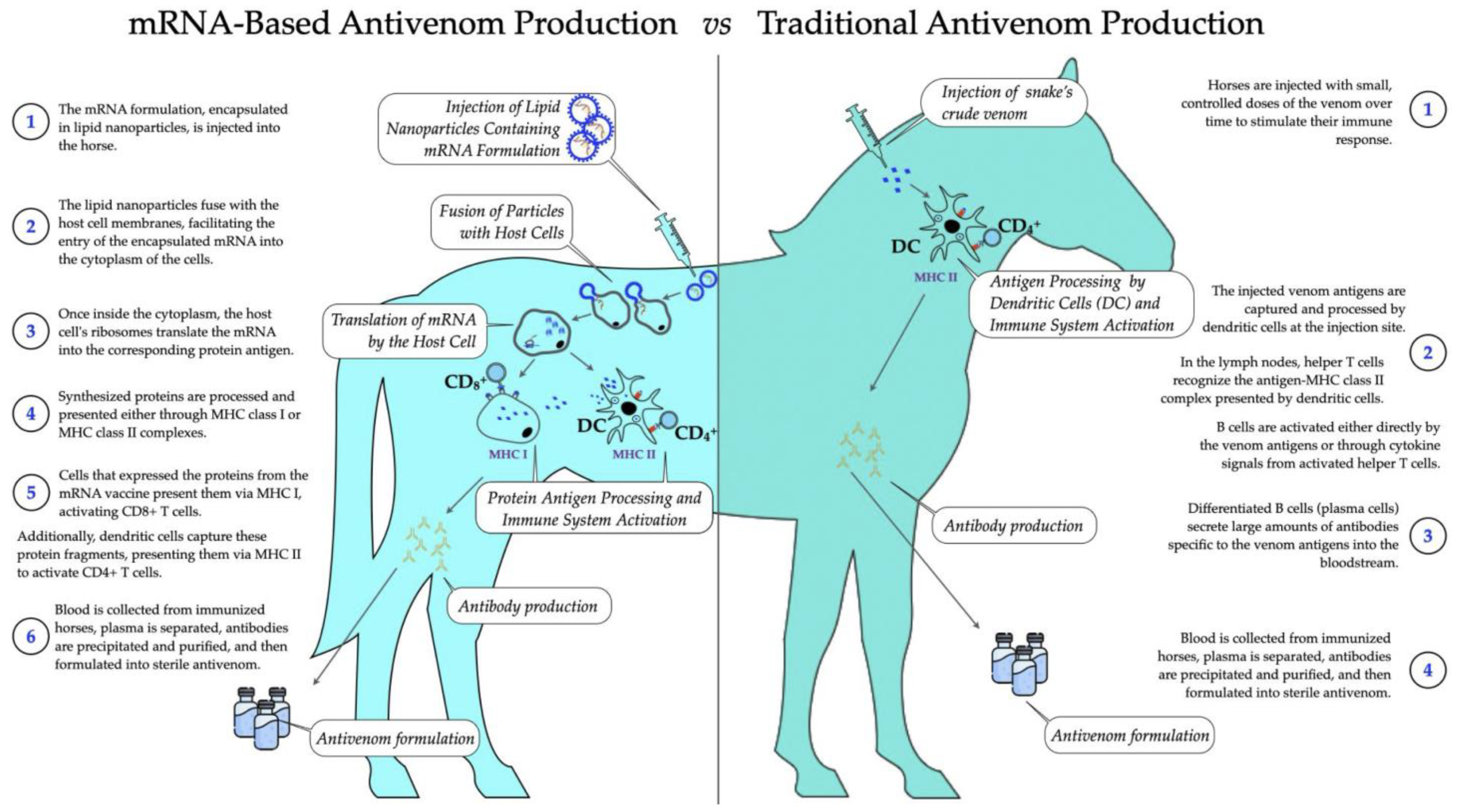Toxins 16 00458 g003