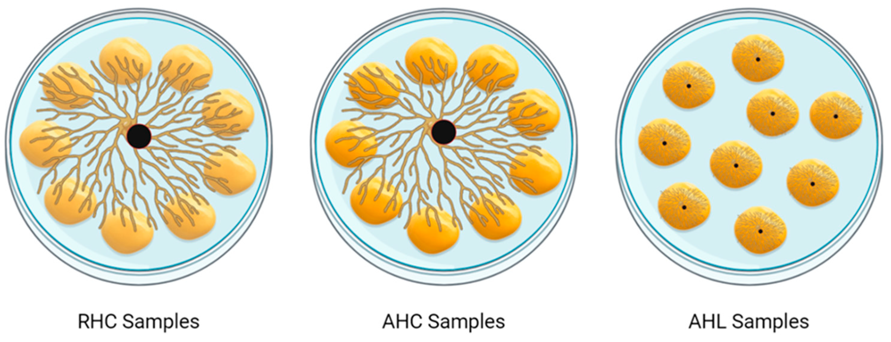 Toxins 16 00481 g005