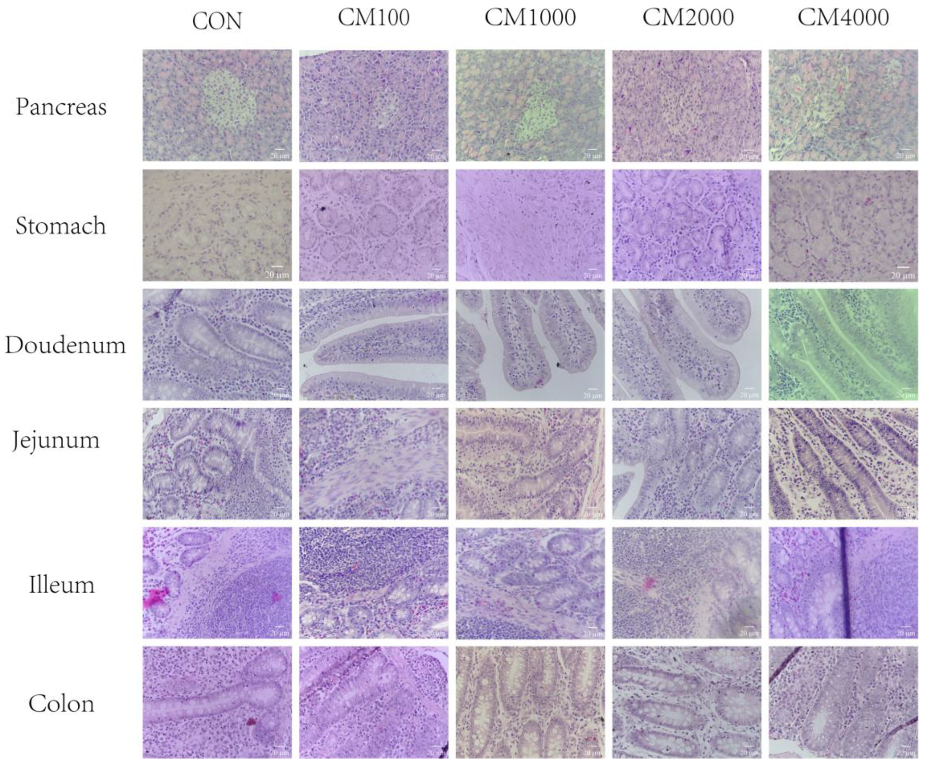 Toxins 16 00507 g002