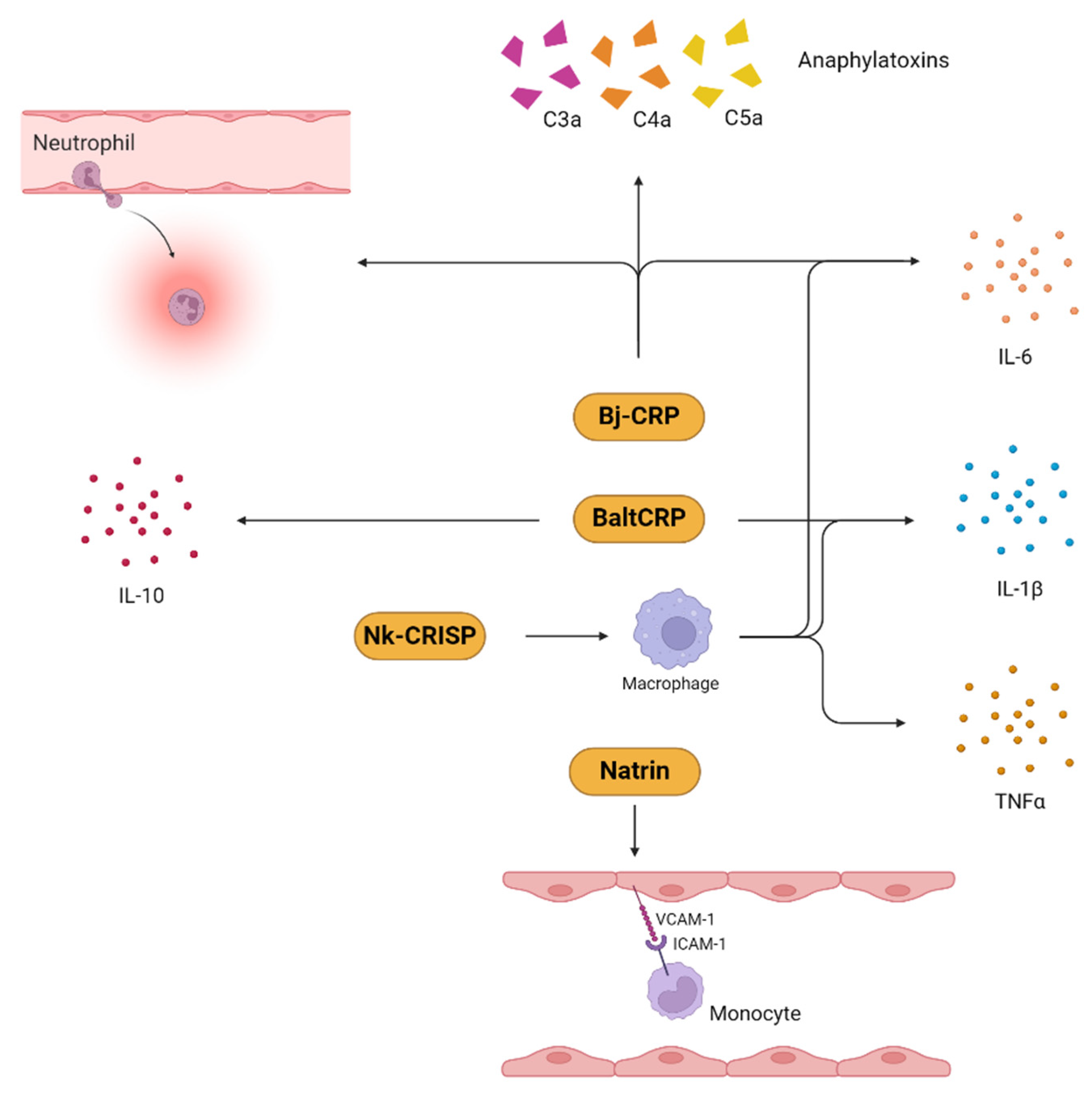 Toxins 16 00519 g004 Toxins 16 00519 g004