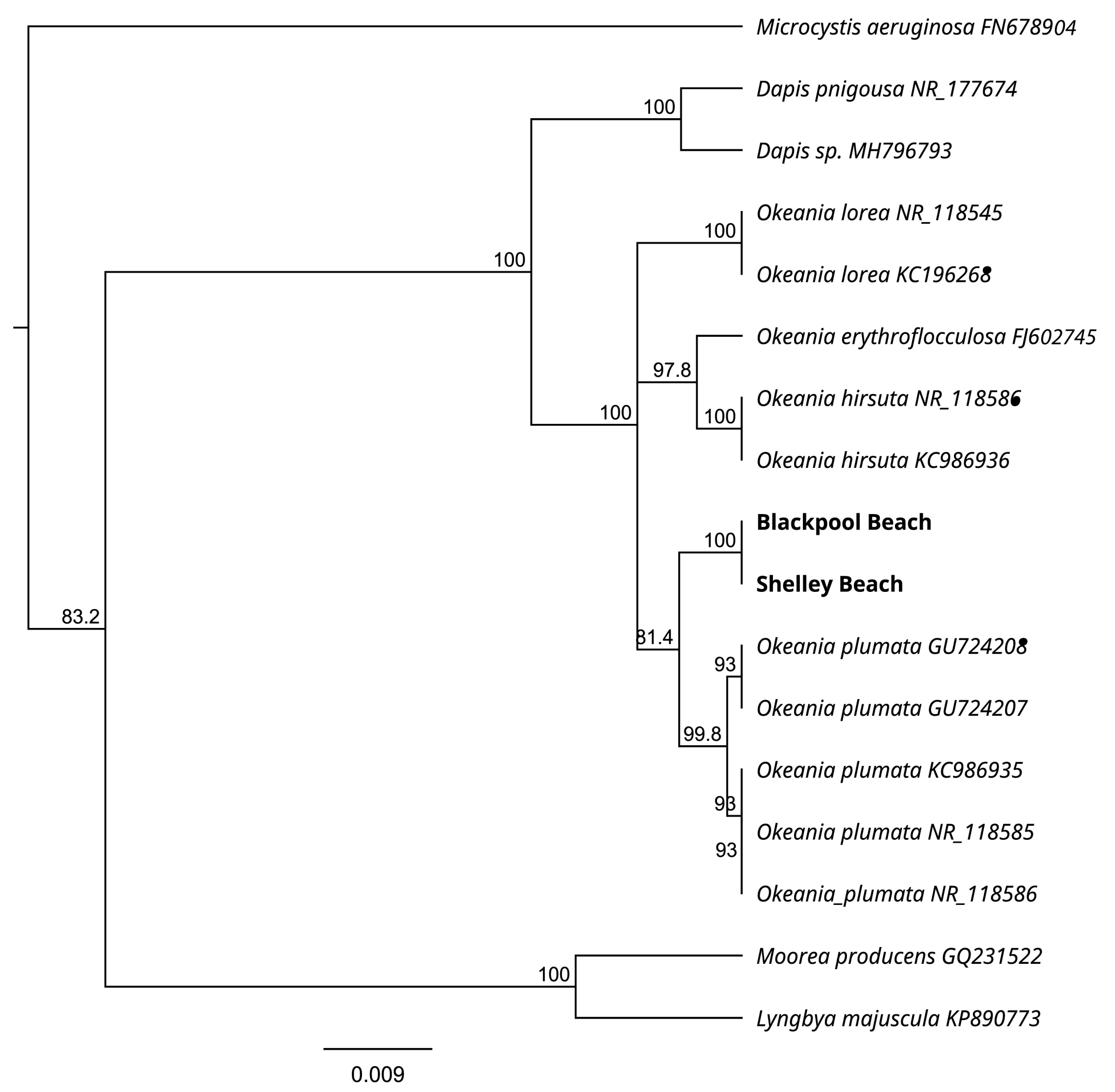 Toxins 16 00522 g002