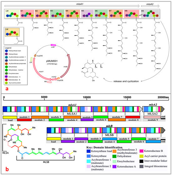 Toxins 16 00528 g005
