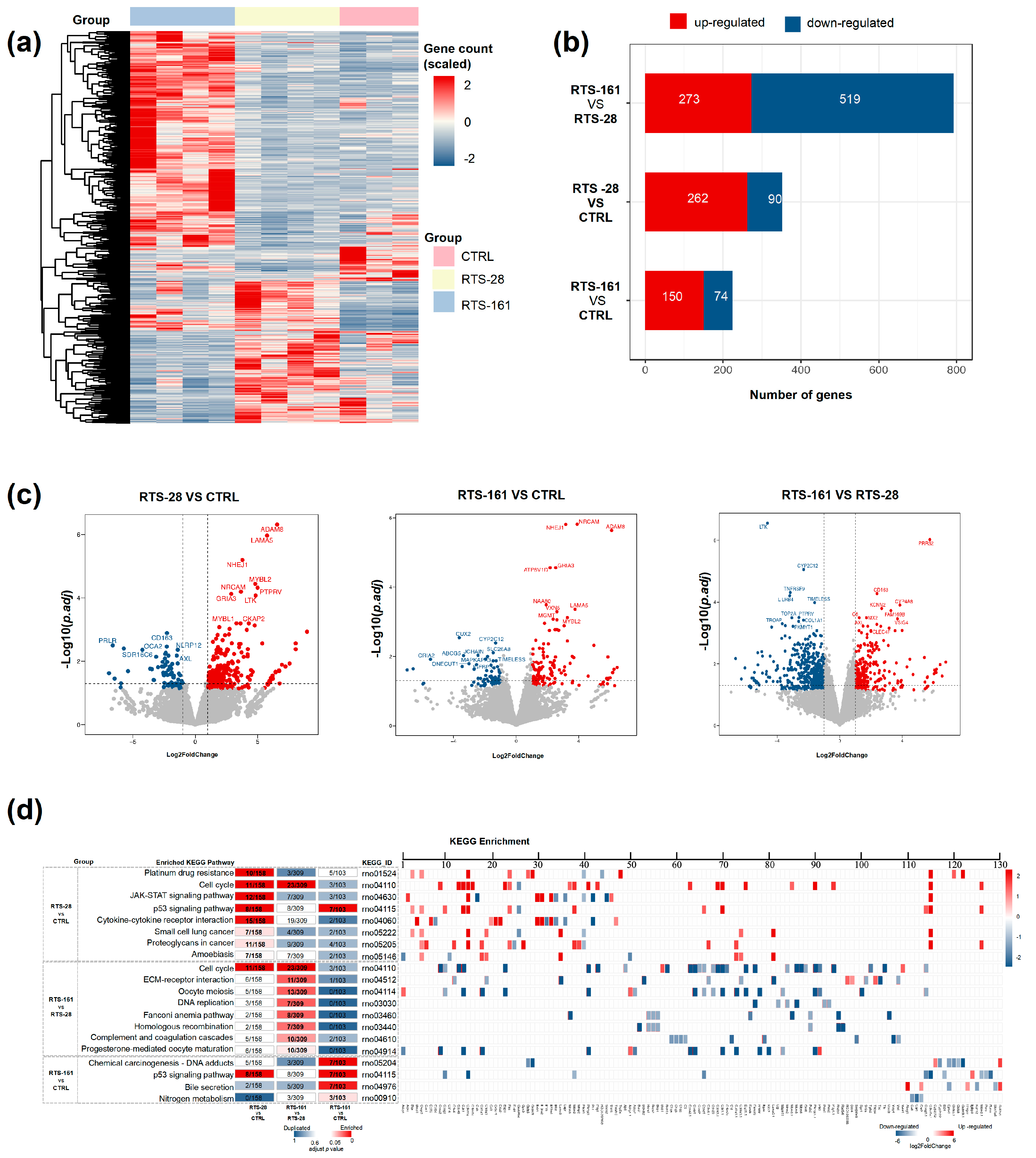 Toxins 16 00538 g002