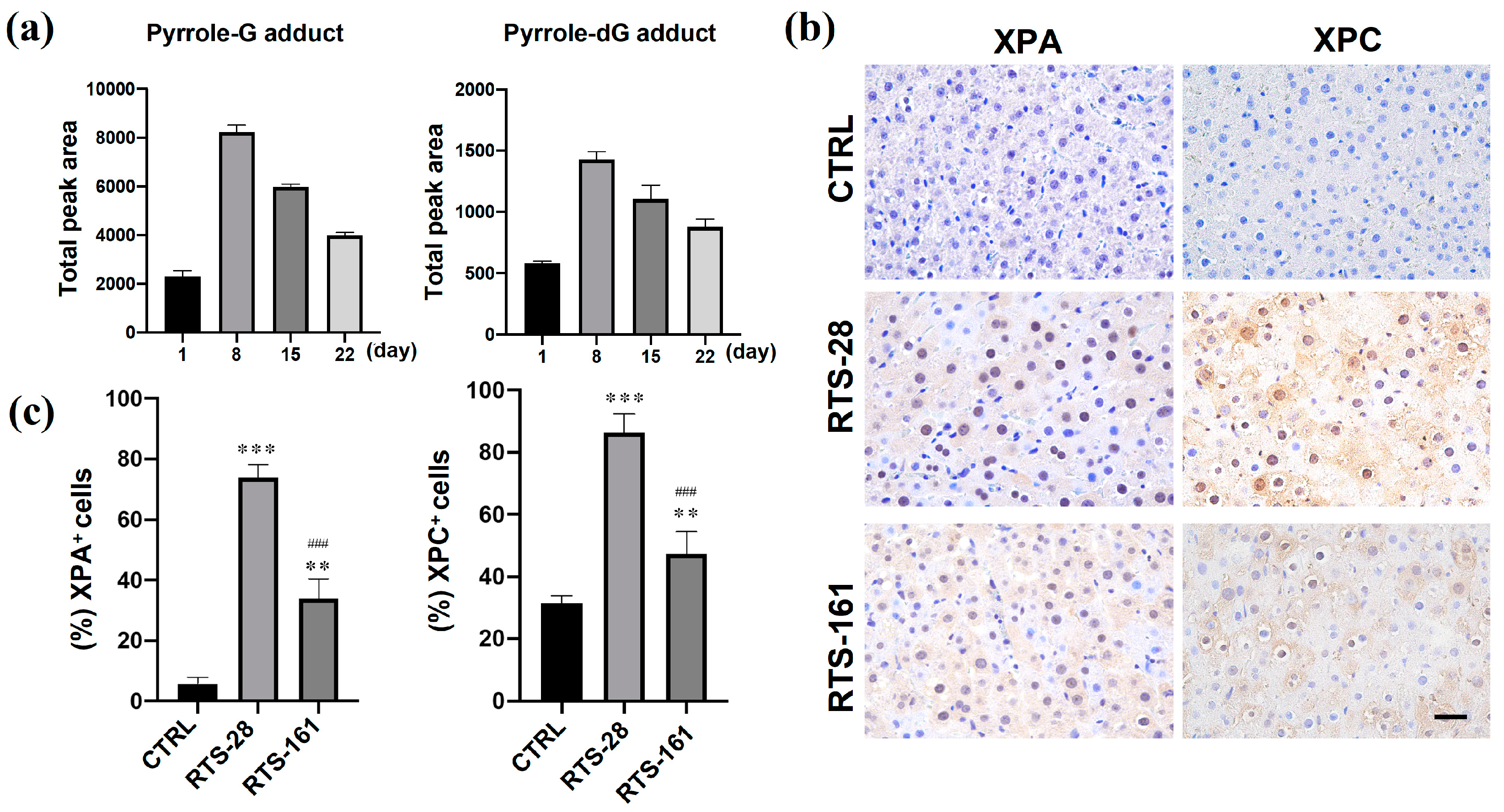 Toxins 16 00538 g007