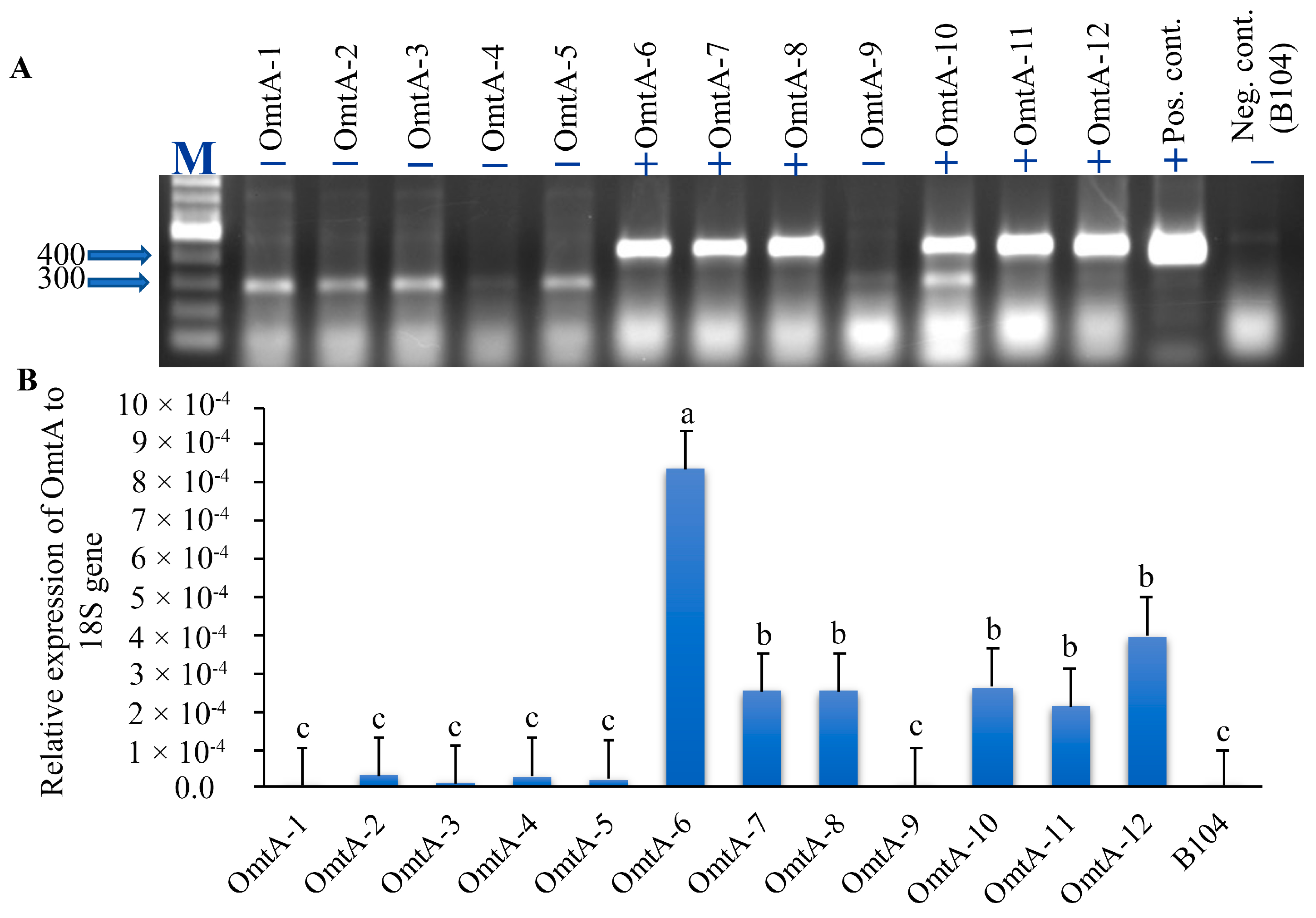Toxins 17 00008 g001 Toxins 17 00008 g001