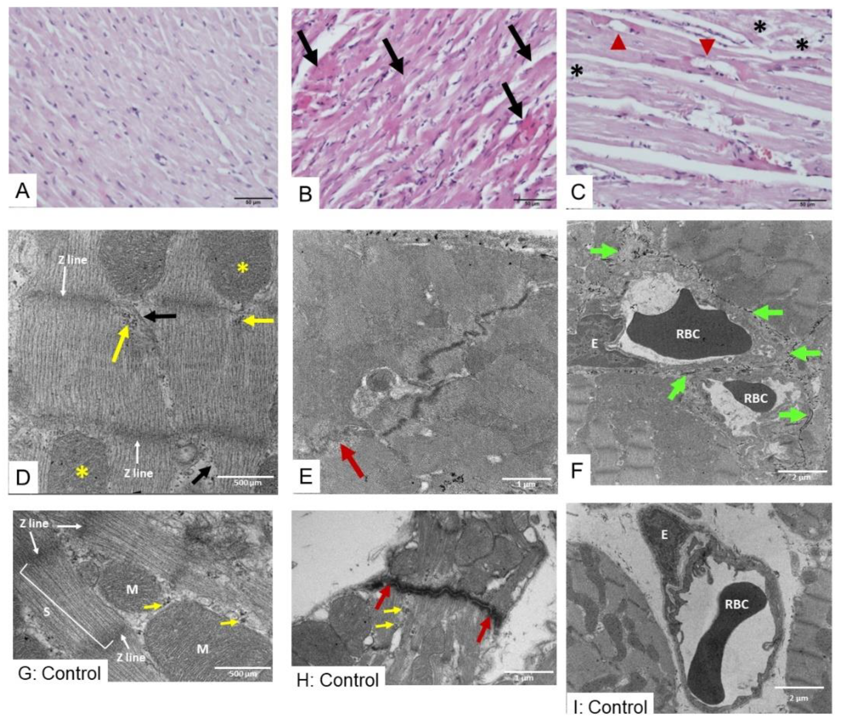 Toxins 17 00010 g002 Toxins 17 00010 g002