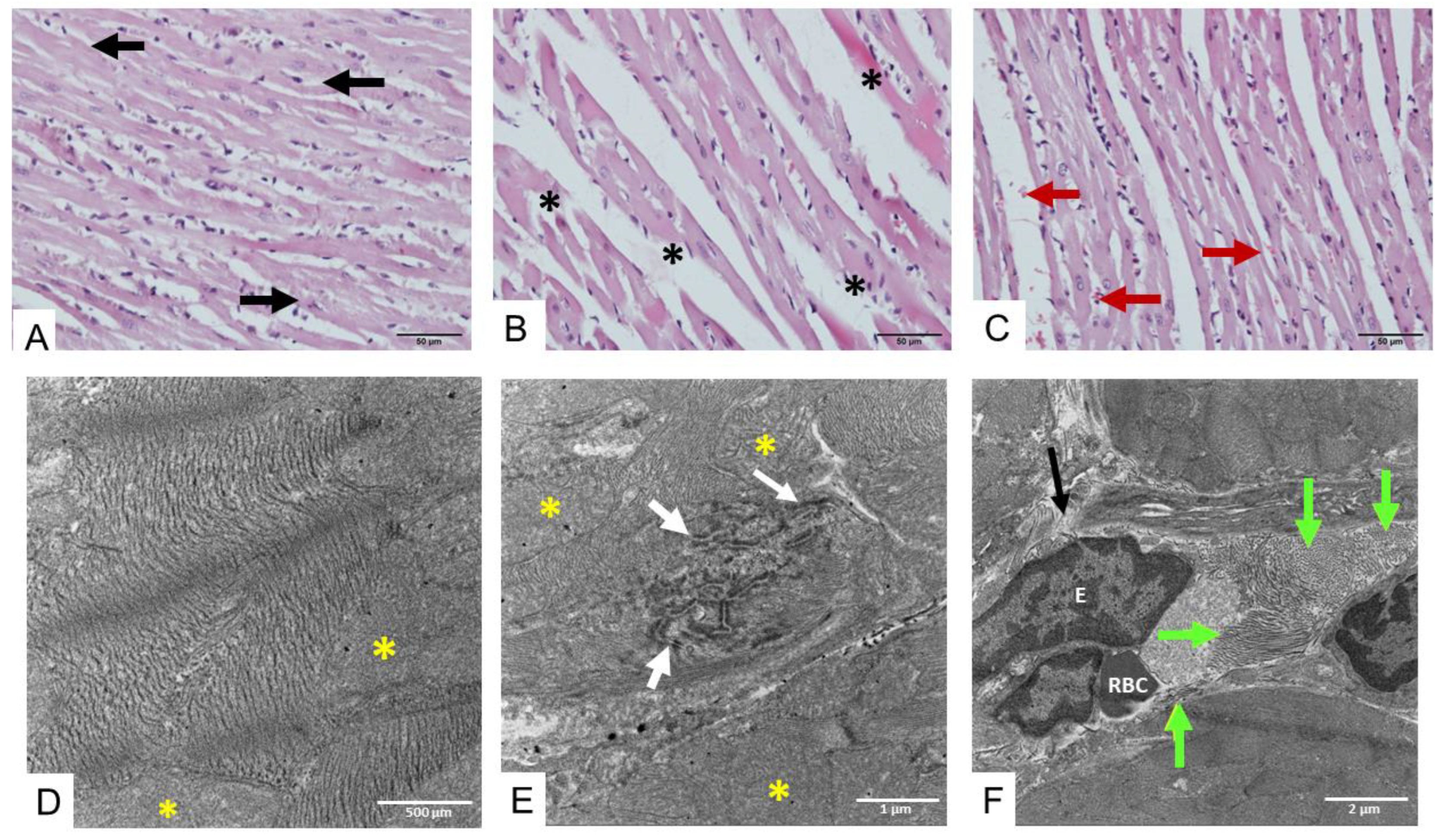 Toxins 17 00010 g003 Toxins 17 00010 g003