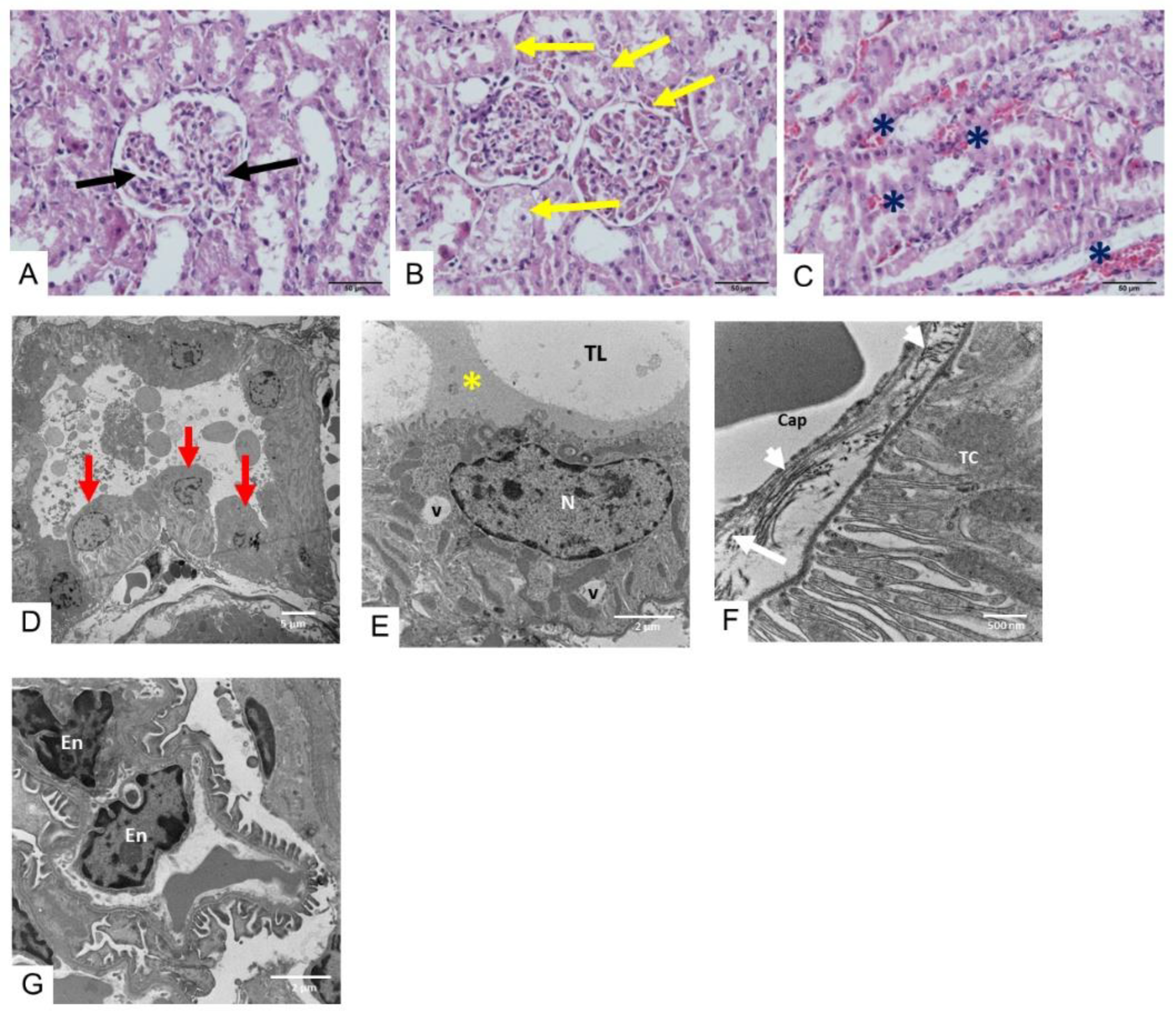 Toxins 17 00010 g004 Toxins 17 00010 g004