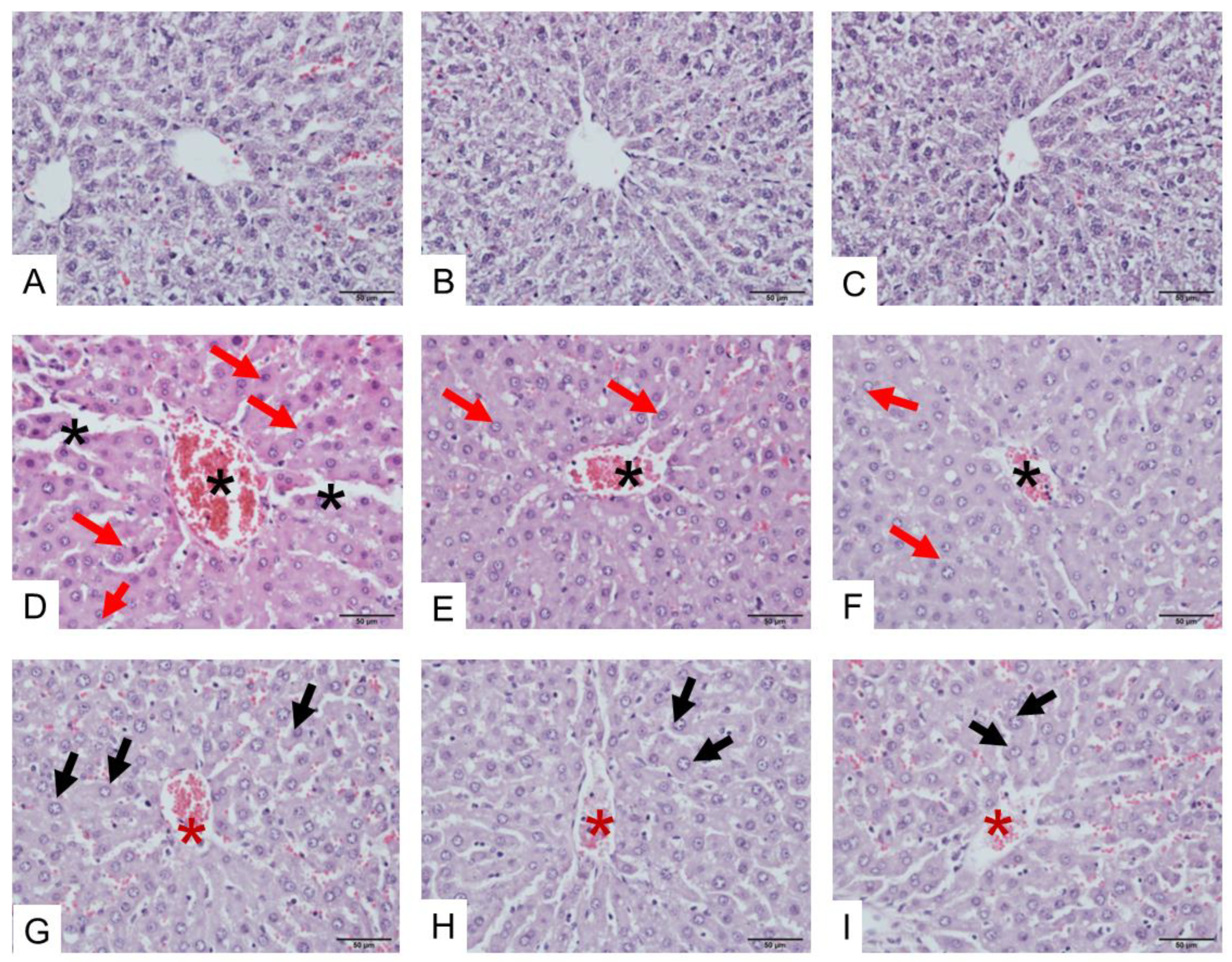 Toxins 17 00010 g006 Toxins 17 00010 g006