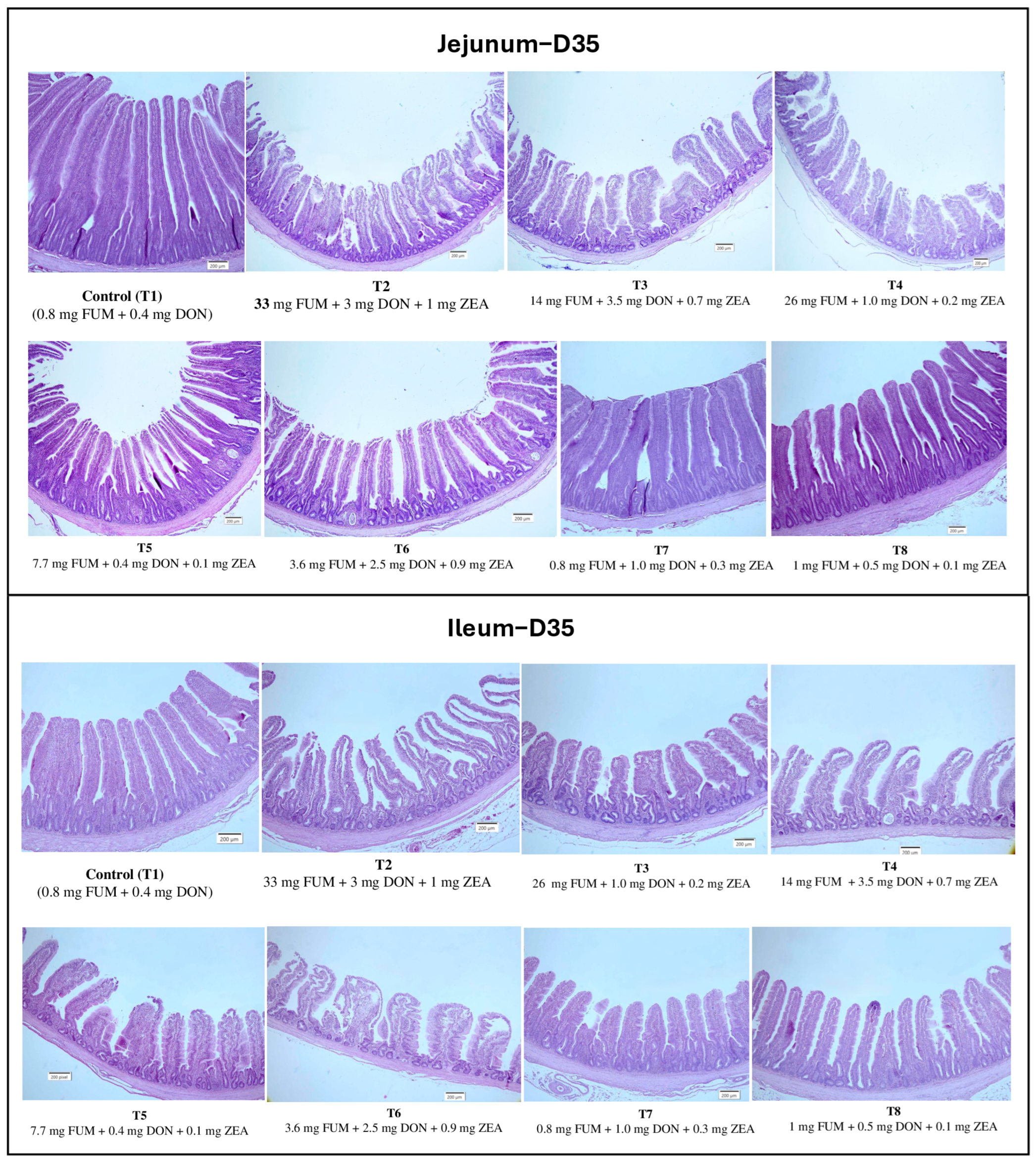Toxins 17 00016 g001