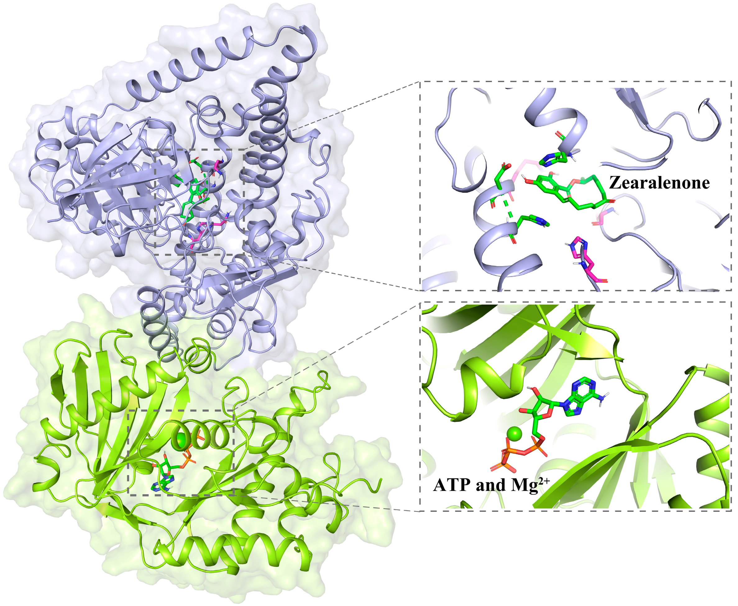 Toxins 17 00021 g006
