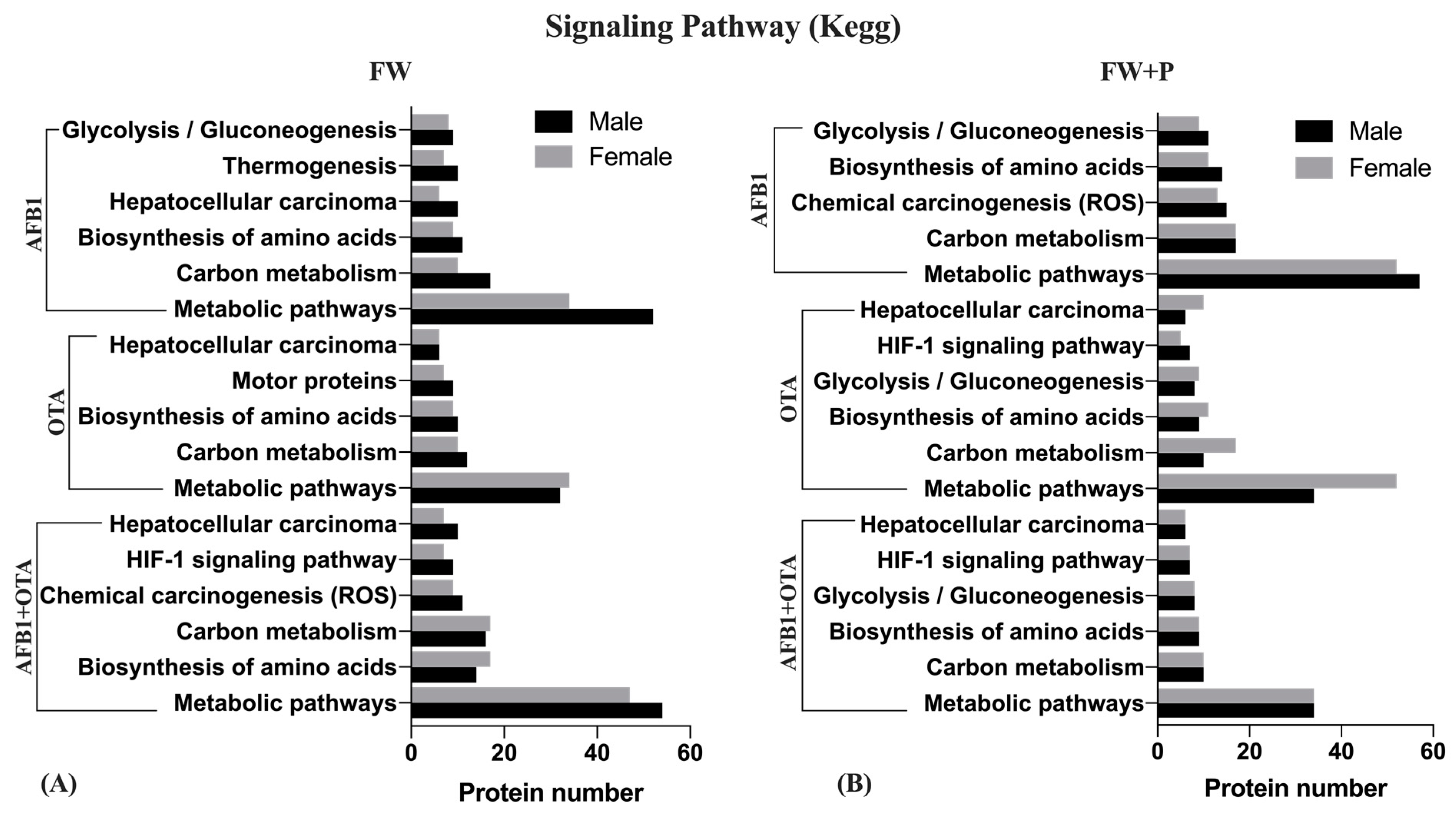 Toxins 17 00029 g007 Toxins 17 00029 g007