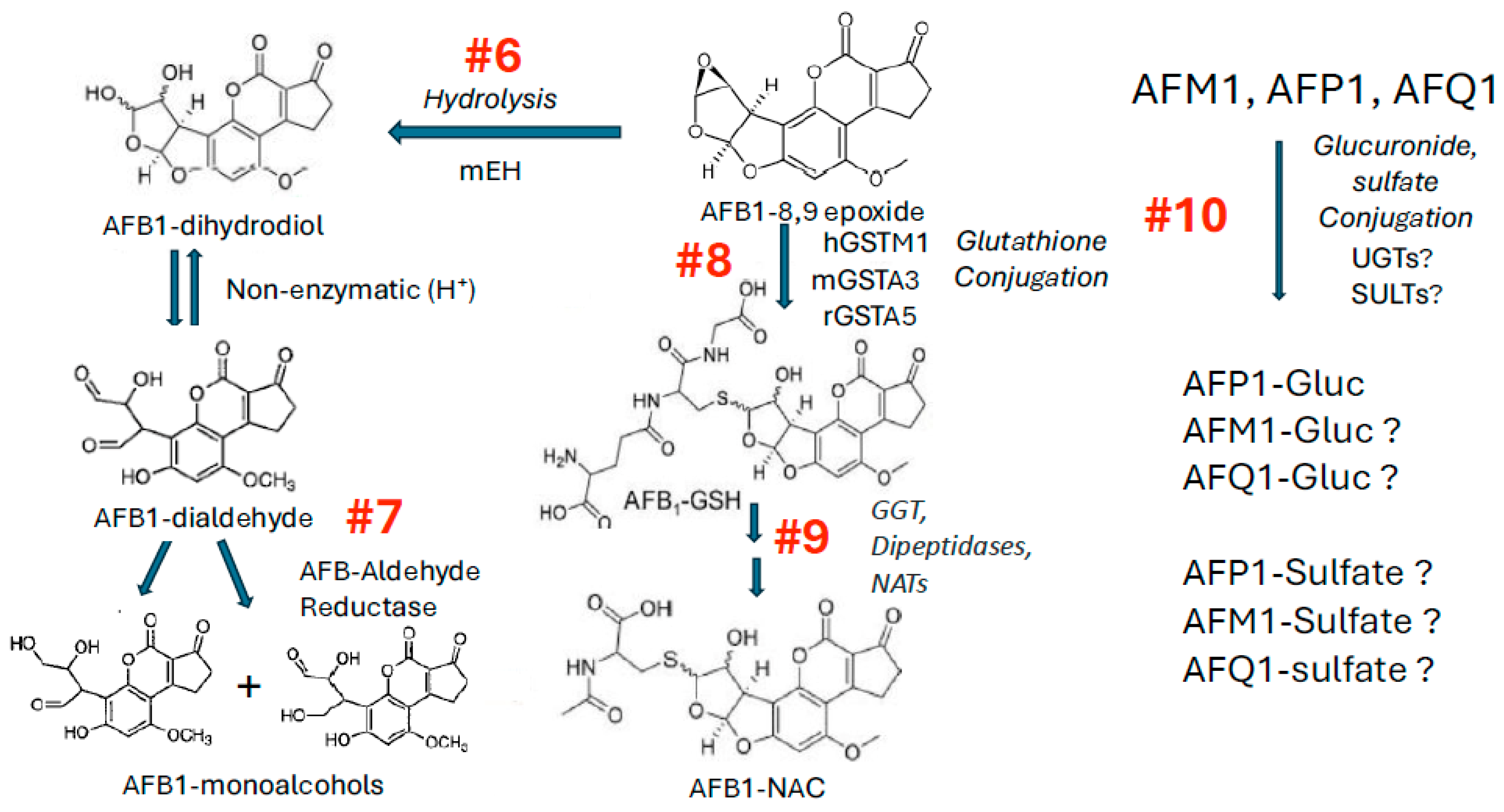 Toxins 17 00030 g005