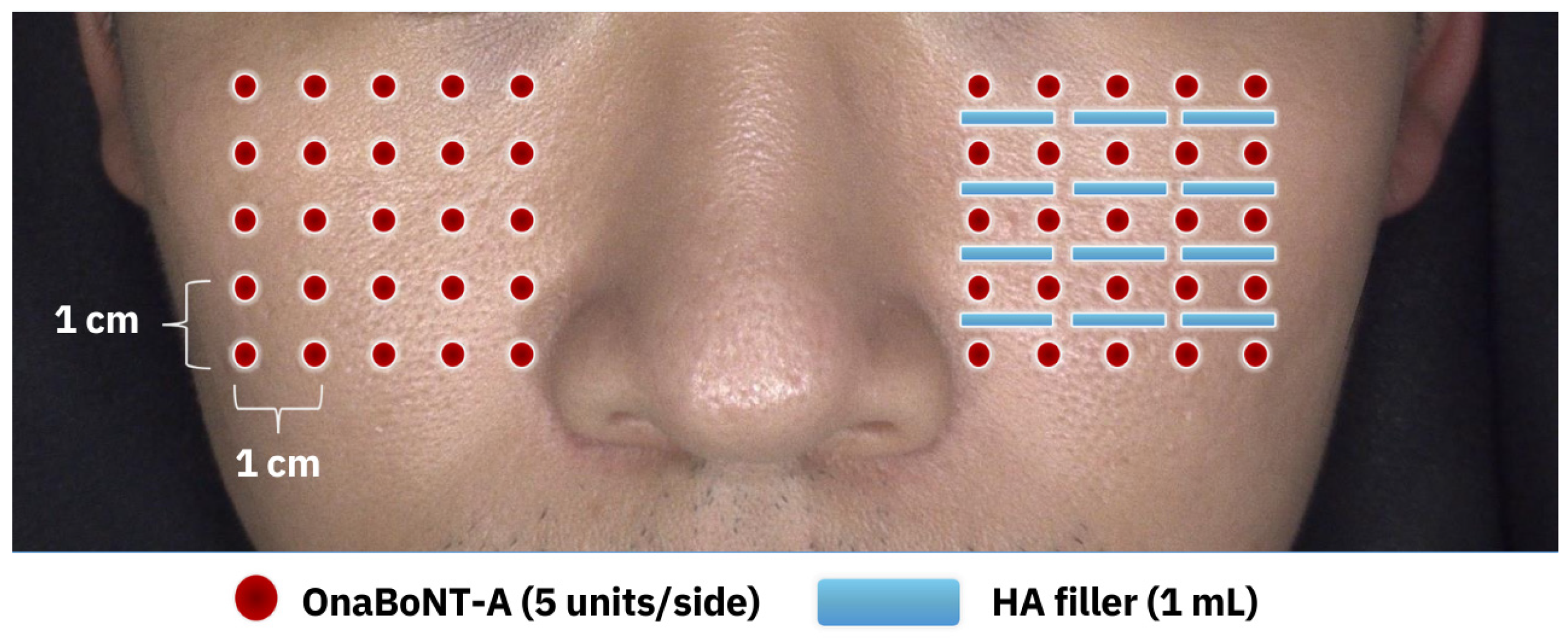 Toxins 17 00038 g007
