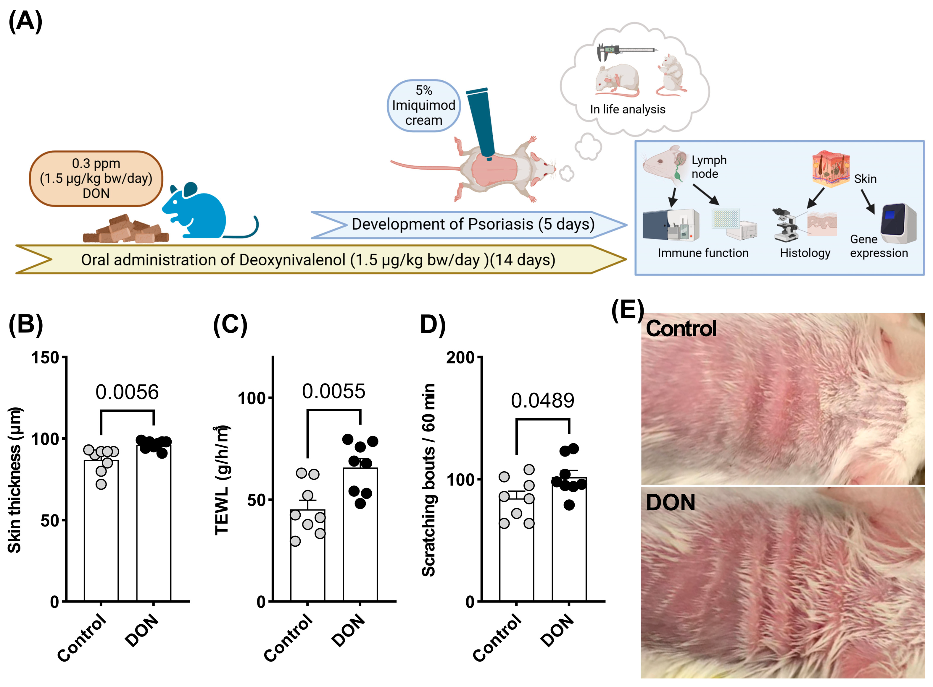 Toxins 17 00047 g001