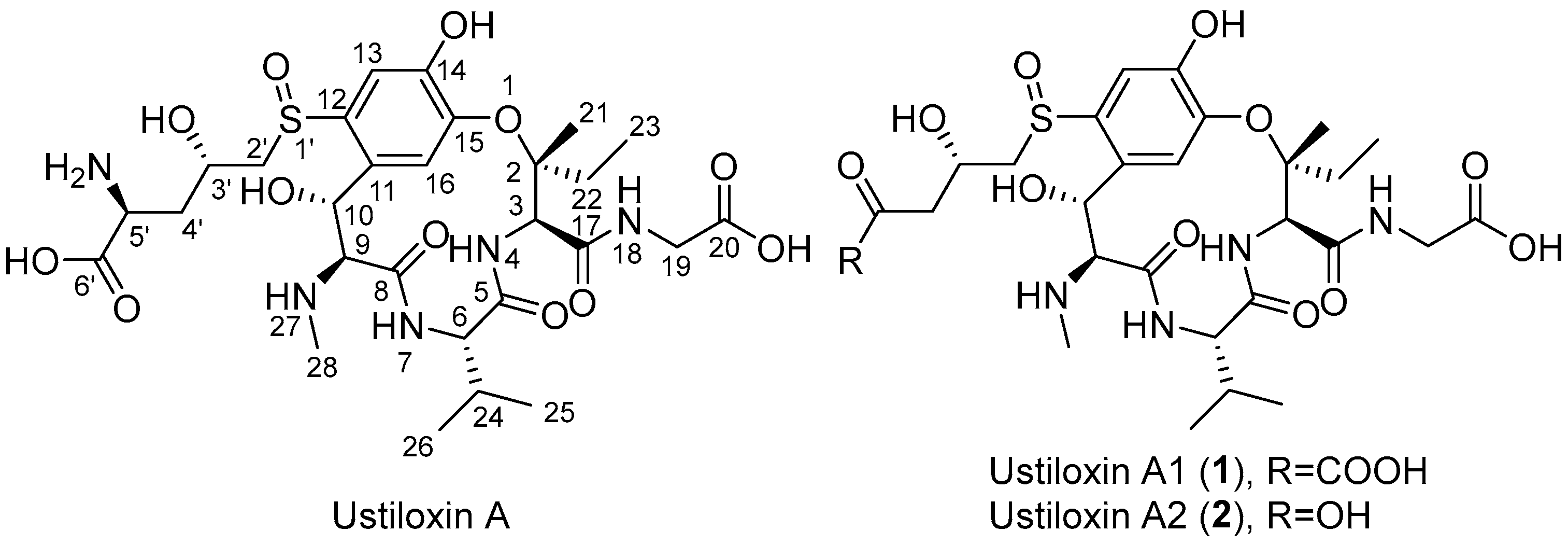 Toxins 17 00048 g001