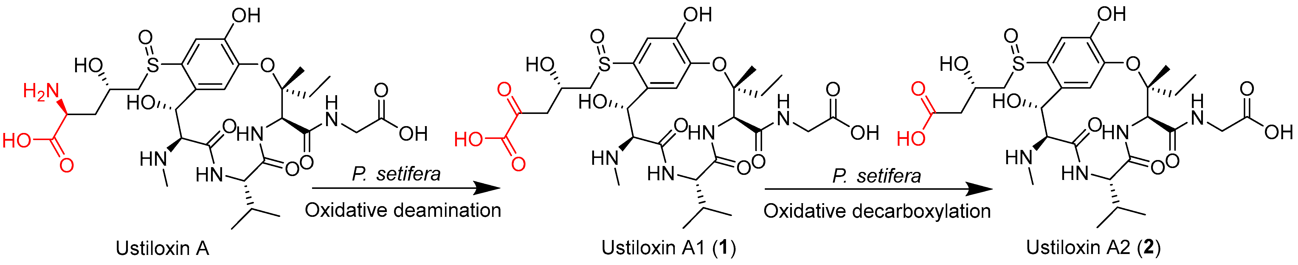 Toxins 17 00048 g007