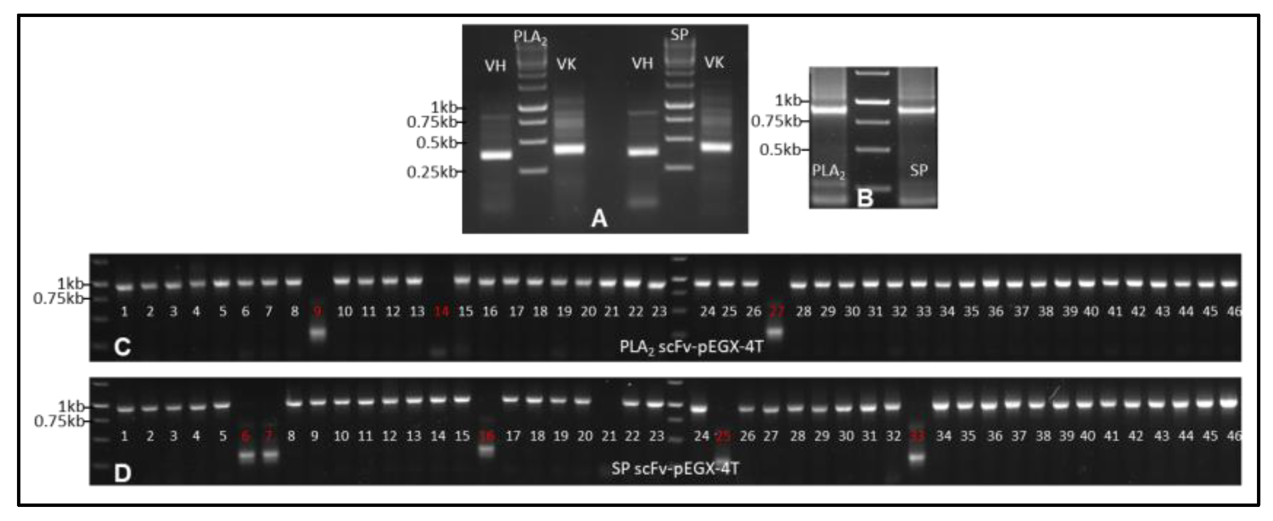 Toxins 17 00055 g005