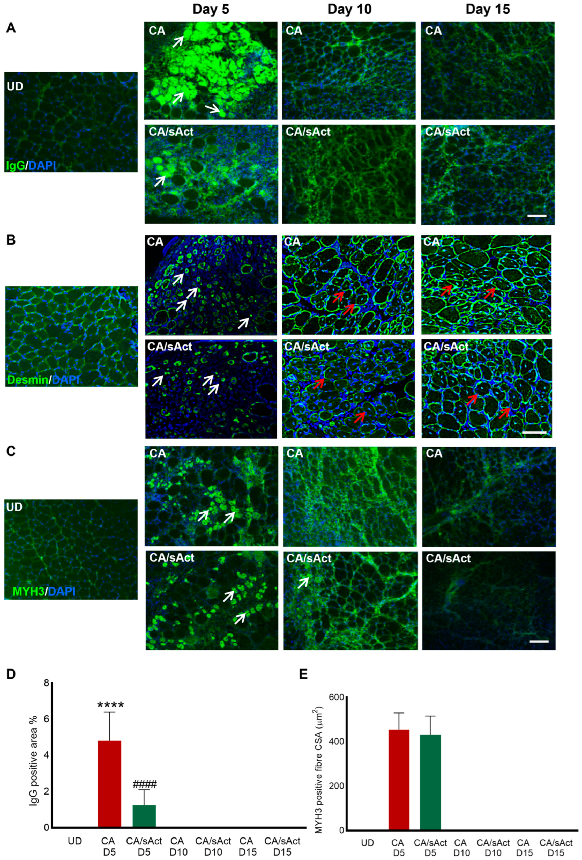 Toxins 17 00059 g003