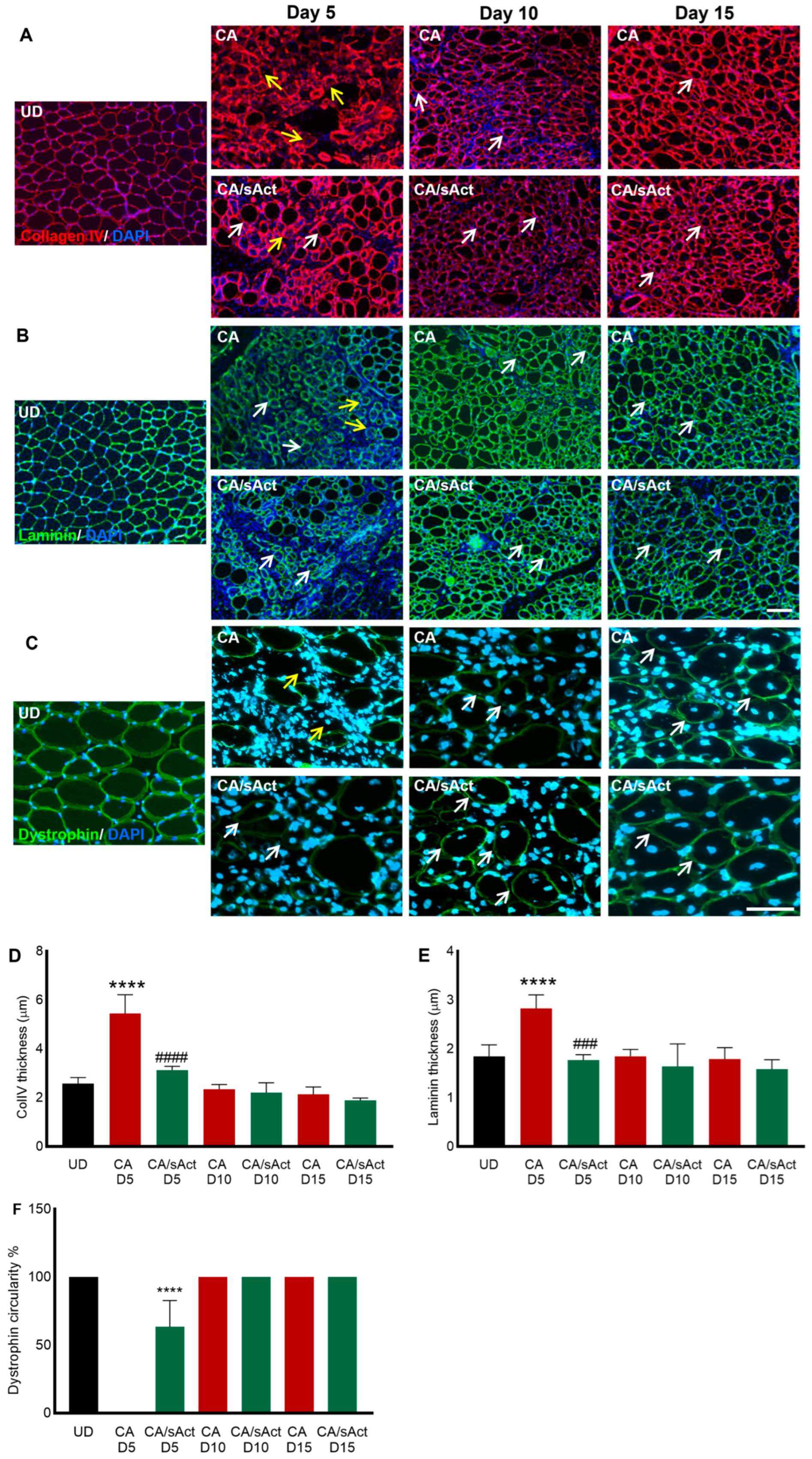 Toxins 17 00059 g004