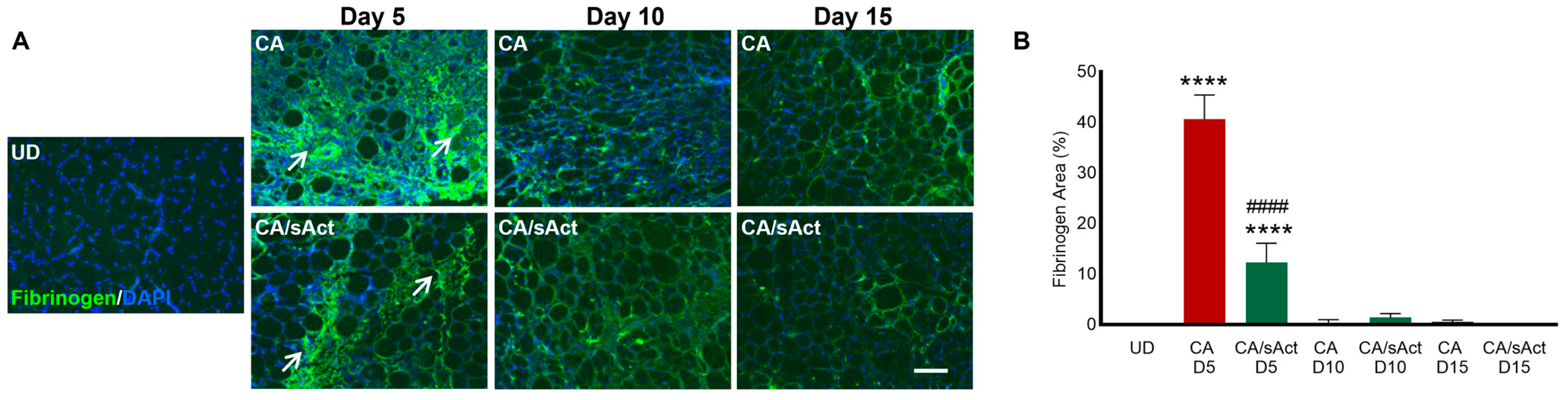 Toxins 17 00059 g005