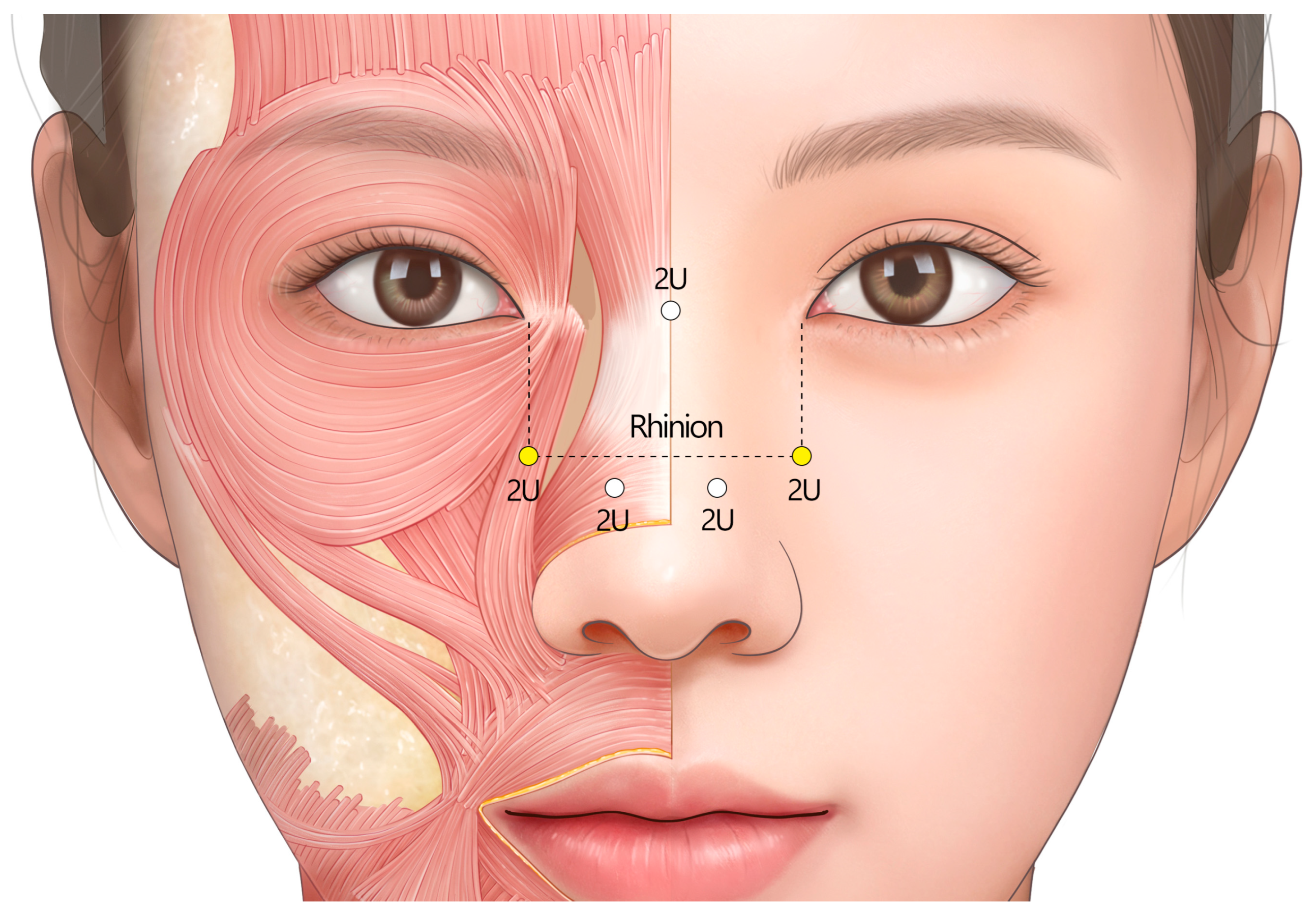 Toxins 17 00061 g008