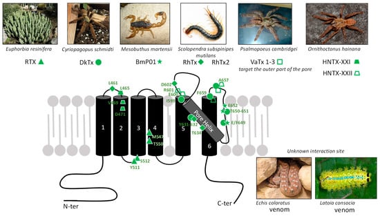 Toxins 17 00064 g003
