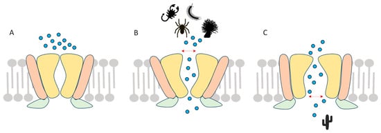 Toxins 17 00064 g004