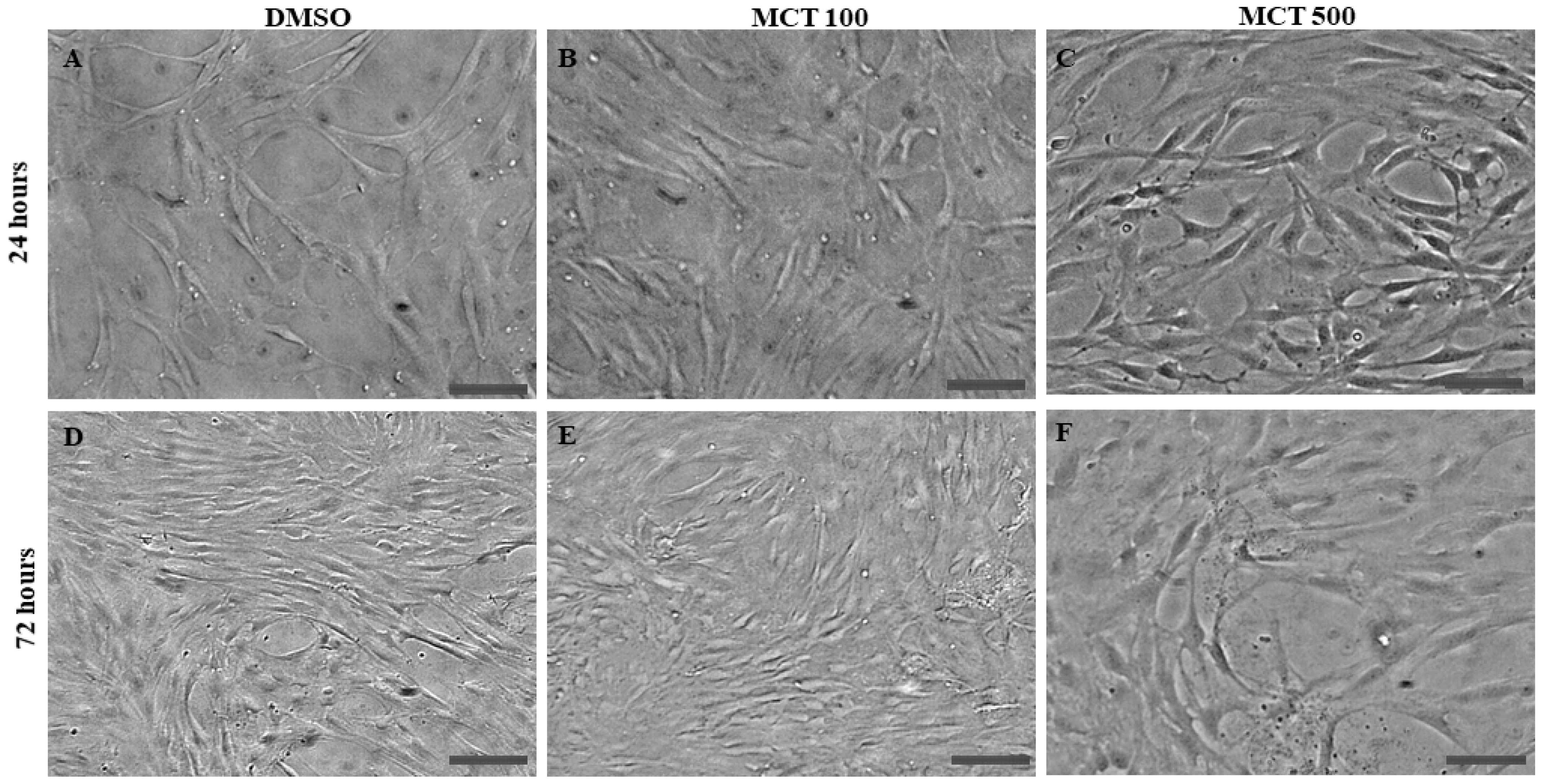 Toxins 17 00065 g002