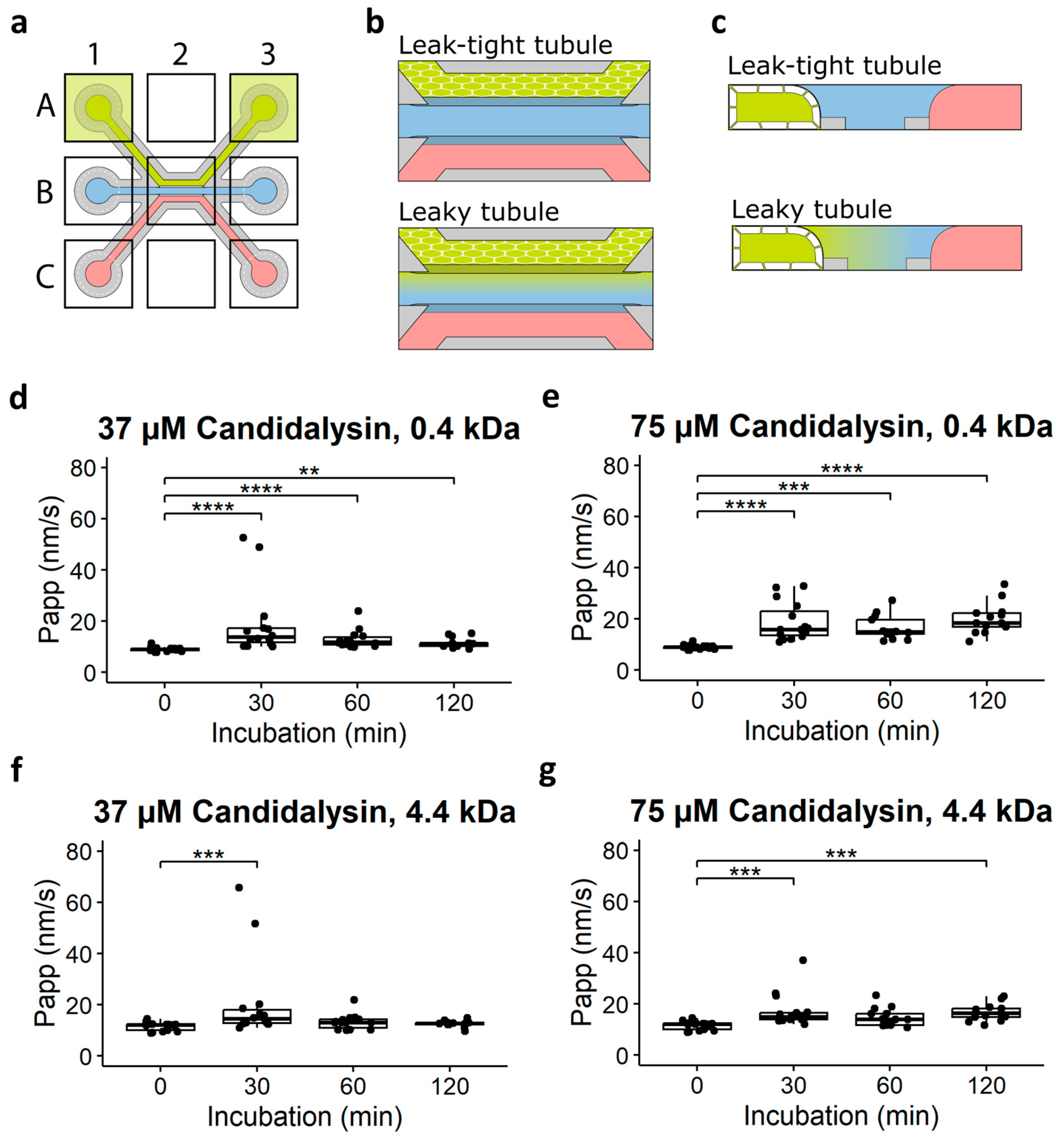 Toxins 17 00089 g003