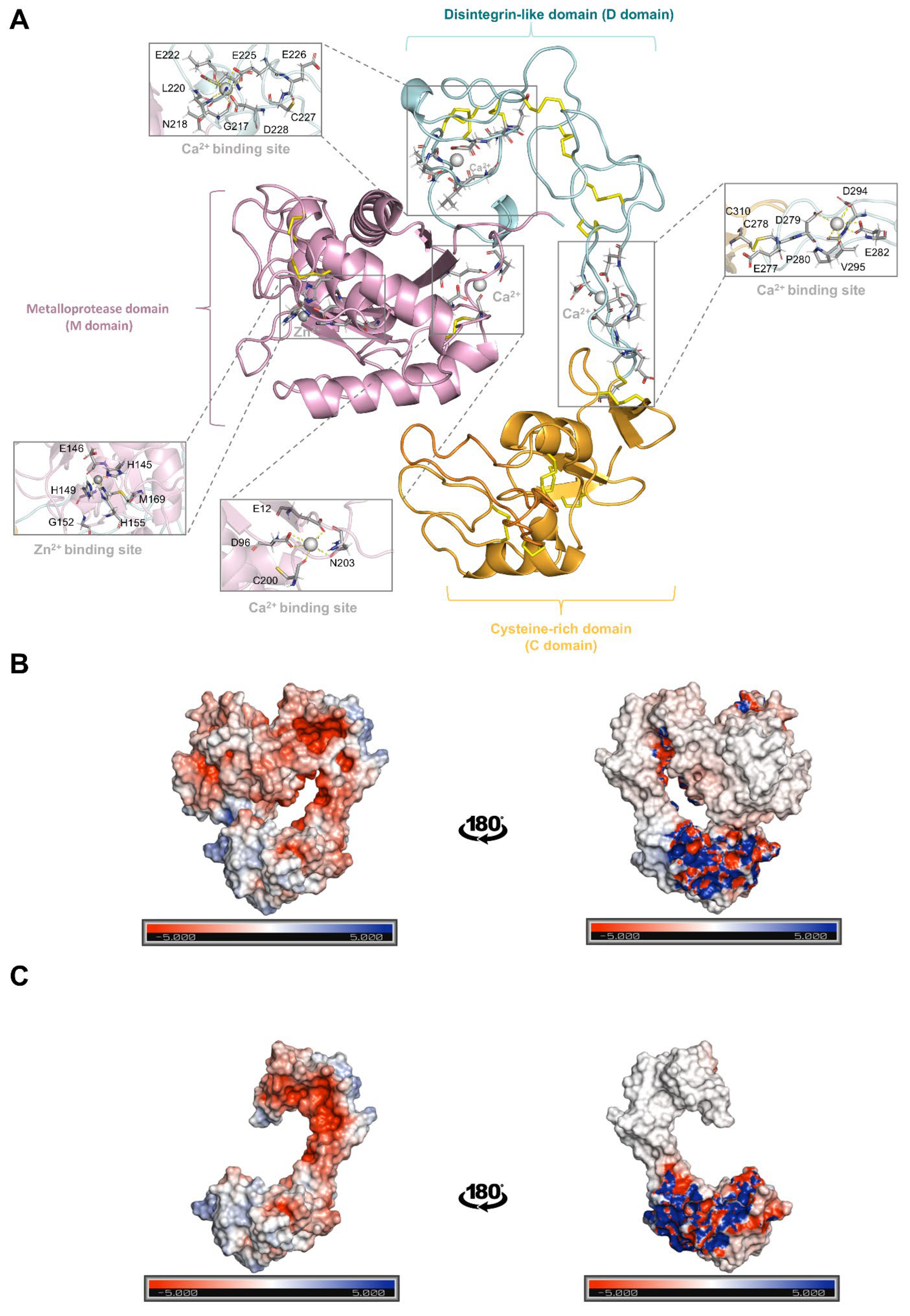 Toxins 17 00095 g005