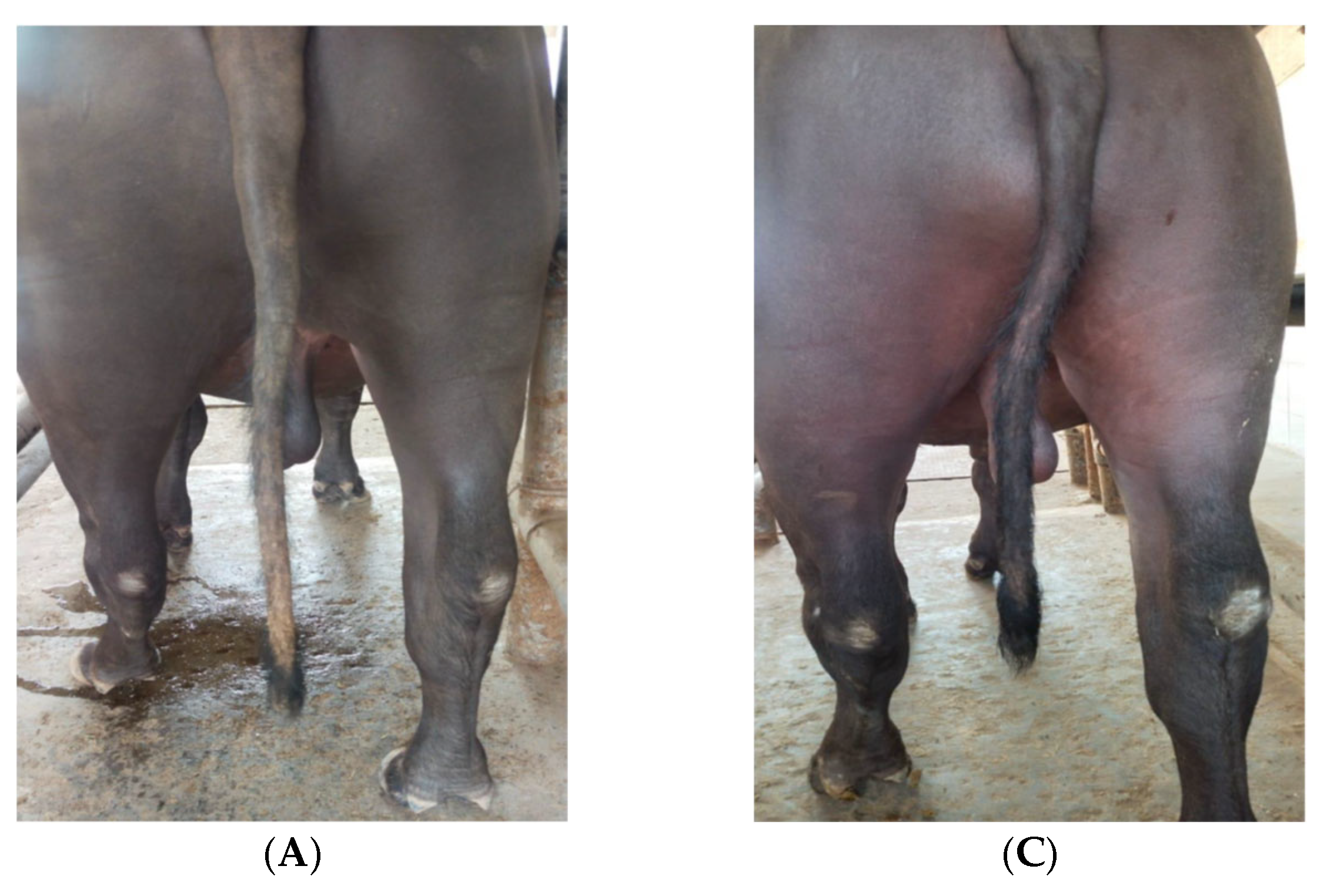 Toxins 17 00097 g002a