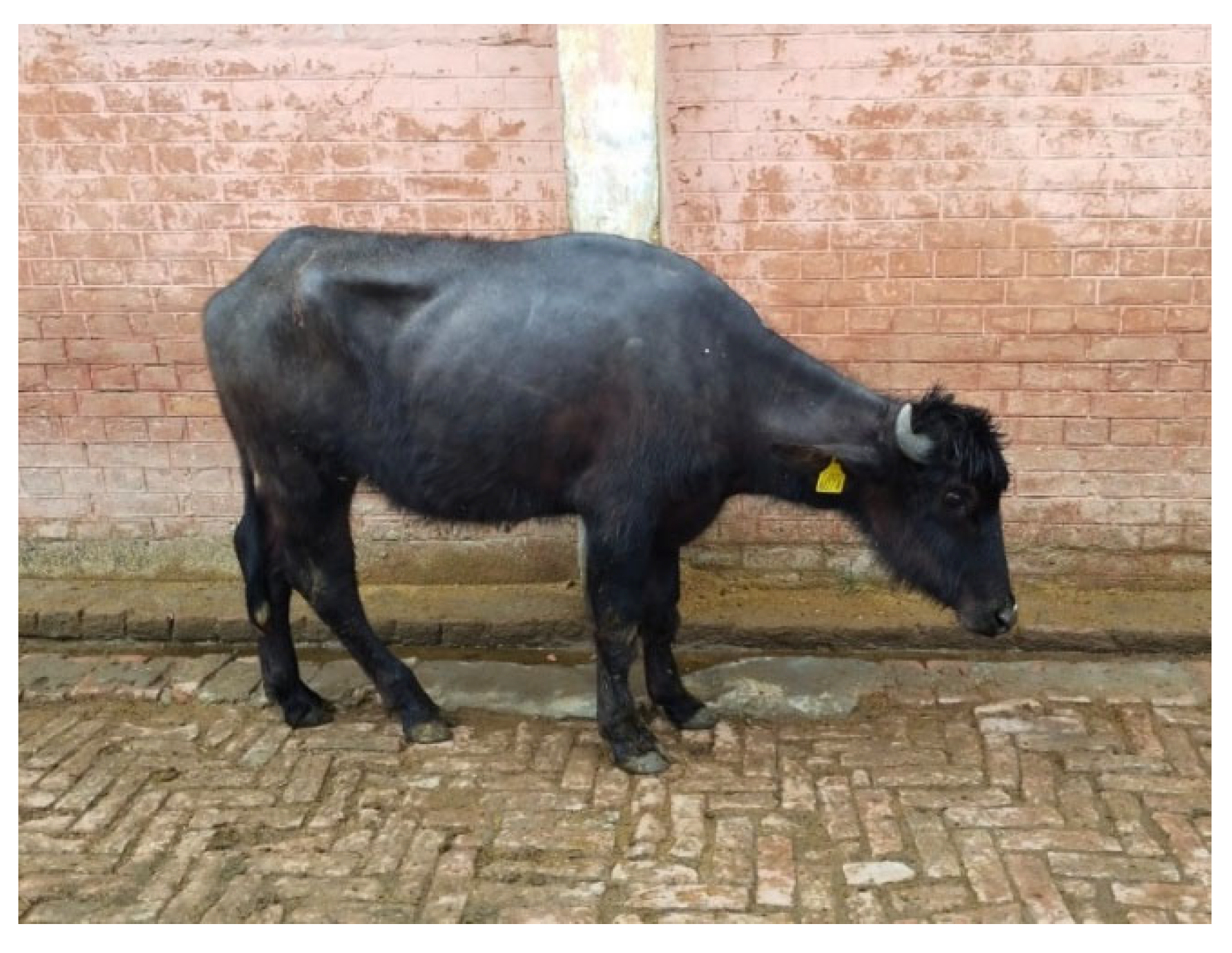 Toxins 17 00097 g003