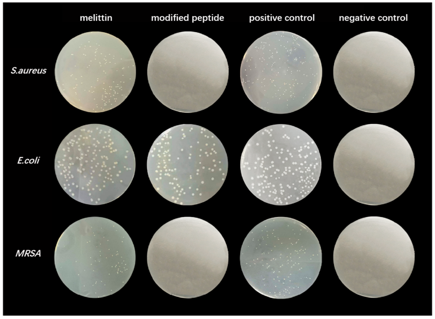 Toxins 17 00098 g006