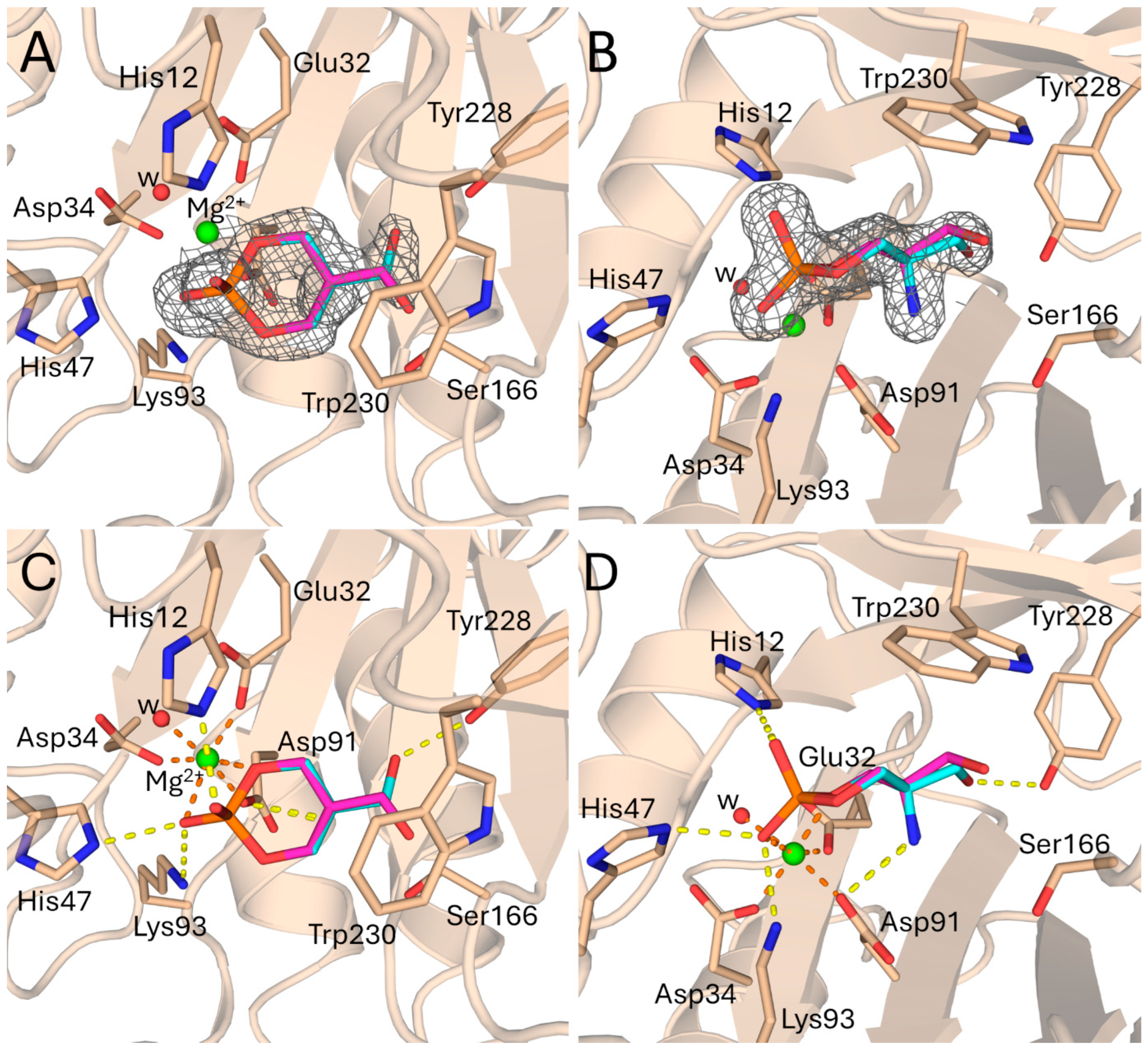 Toxins 17 00111 g001 Toxins 17 00111 g001