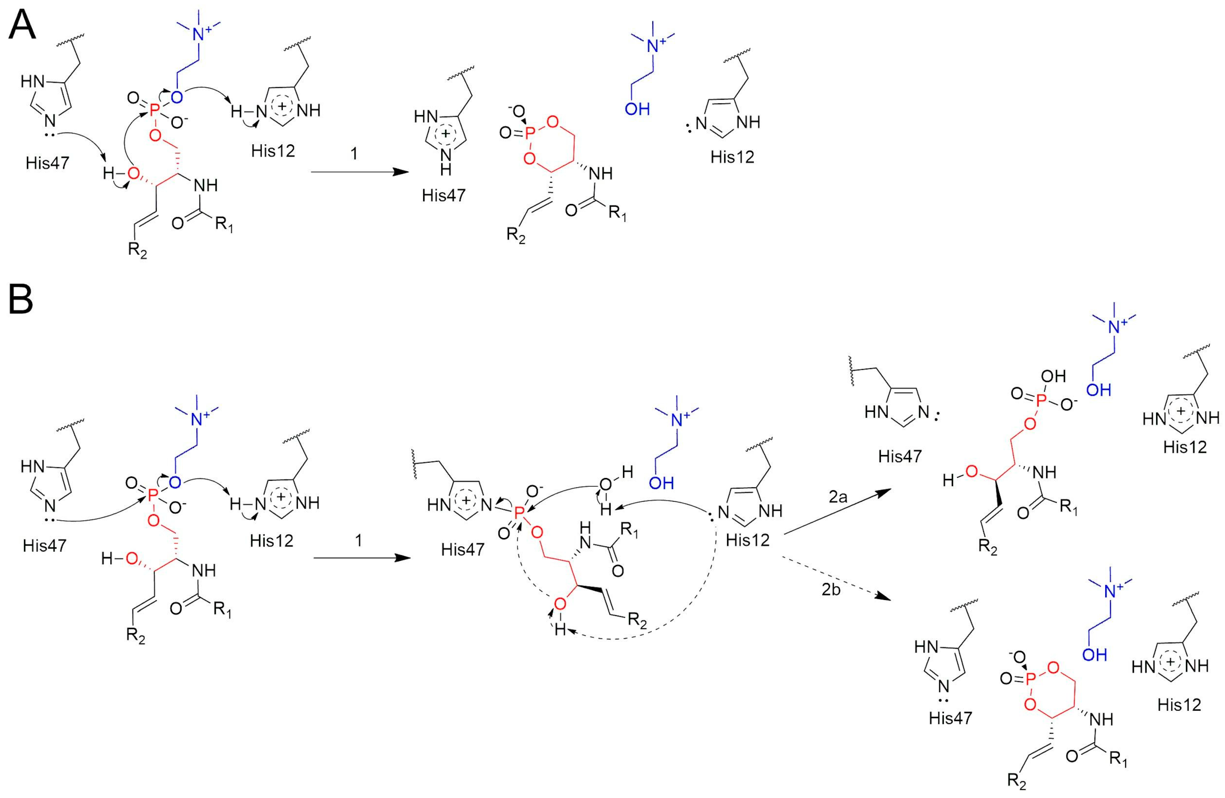 Toxins 17 00111 g004 Toxins 17 00111 g004