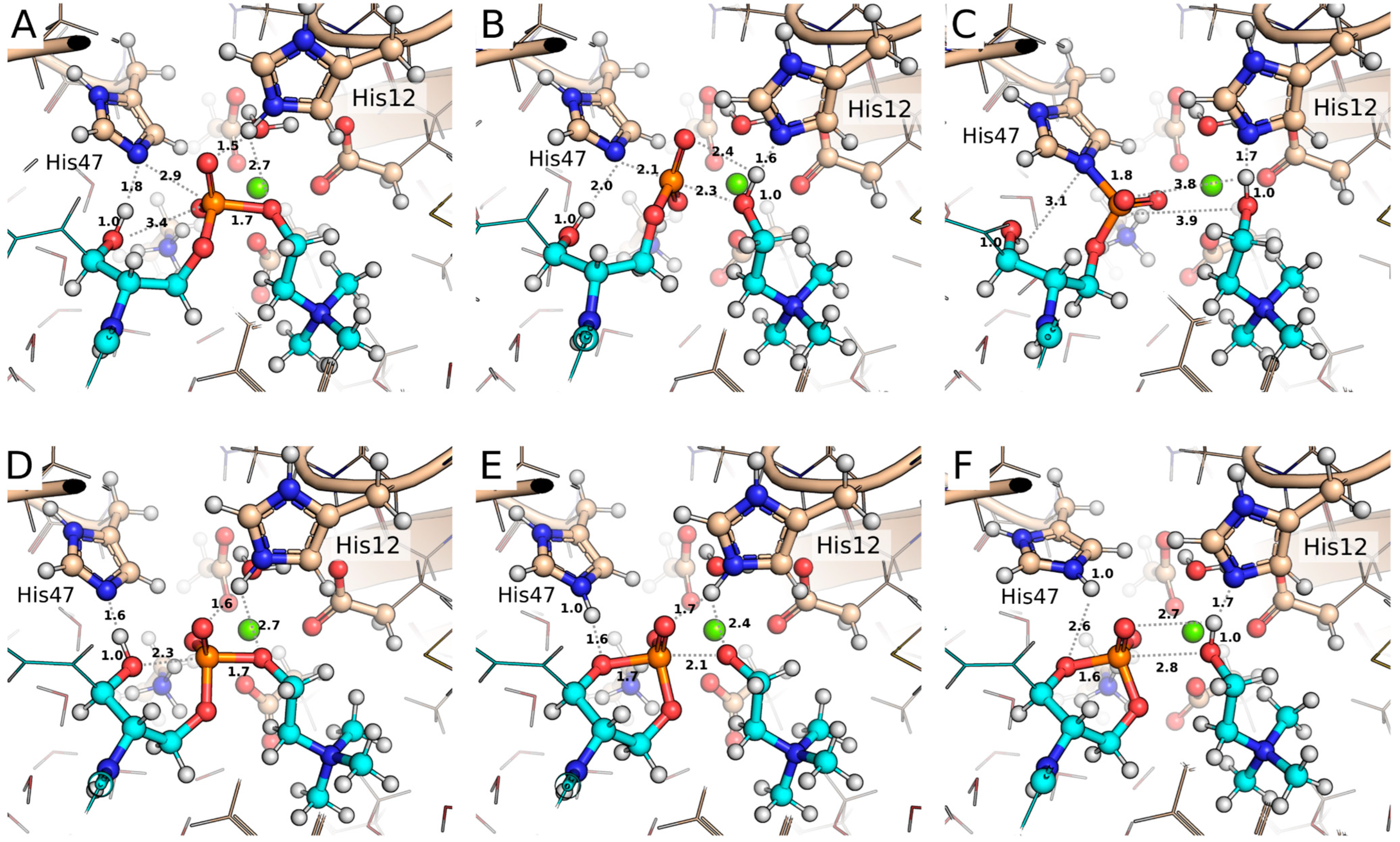 Toxins 17 00111 g006 Toxins 17 00111 g006