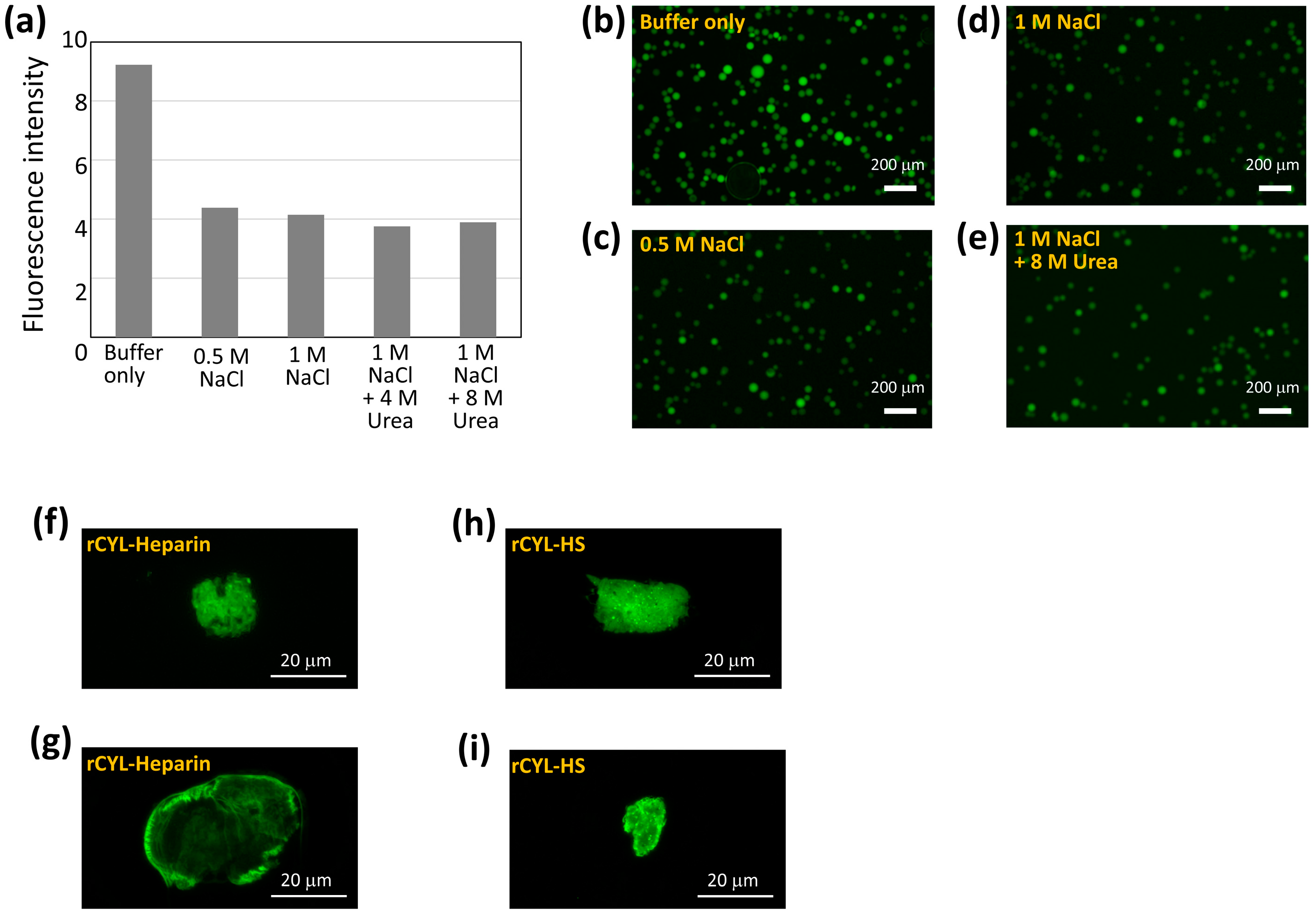 Toxins 17 00118 g008