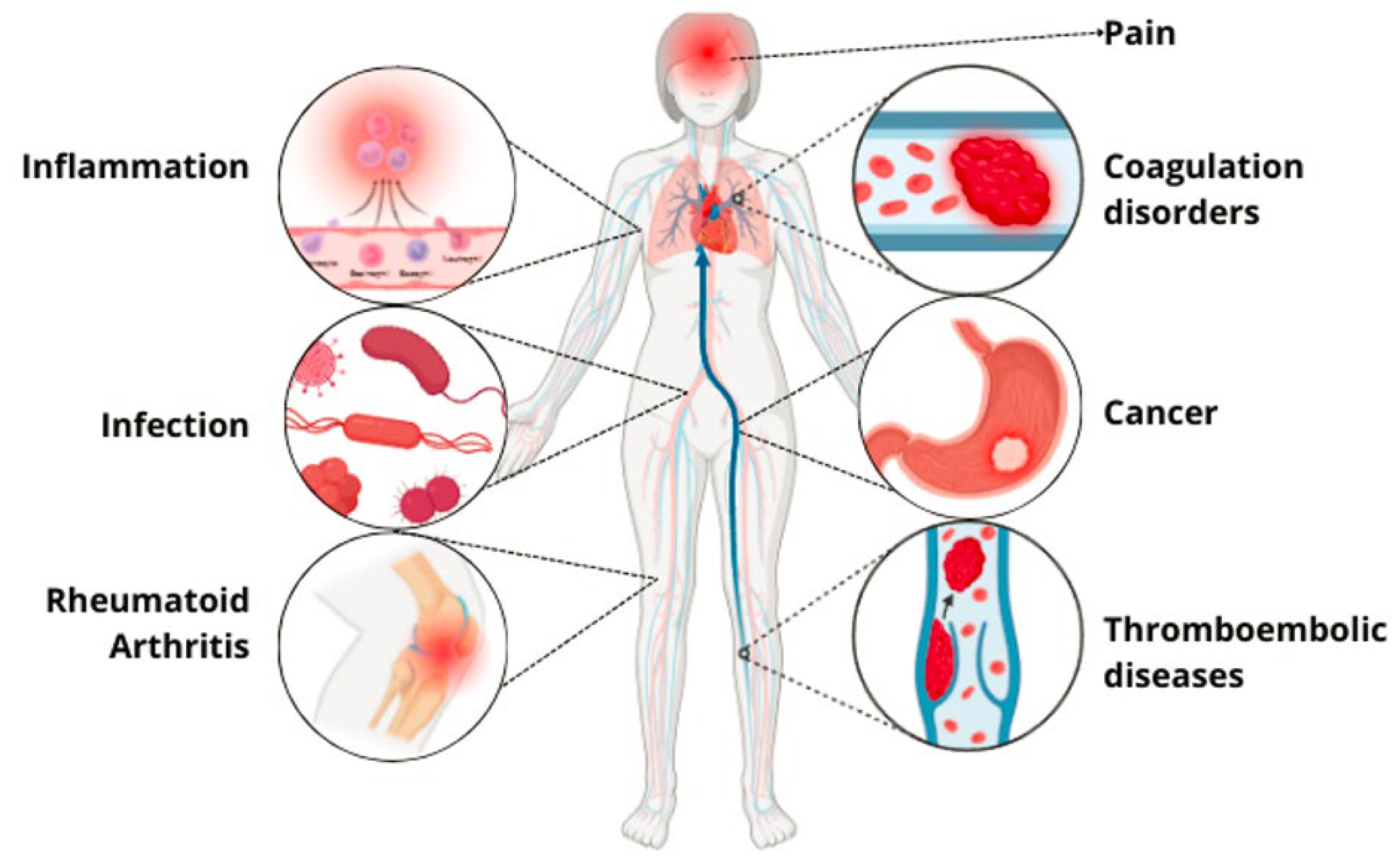 Toxins 17 00136 g004