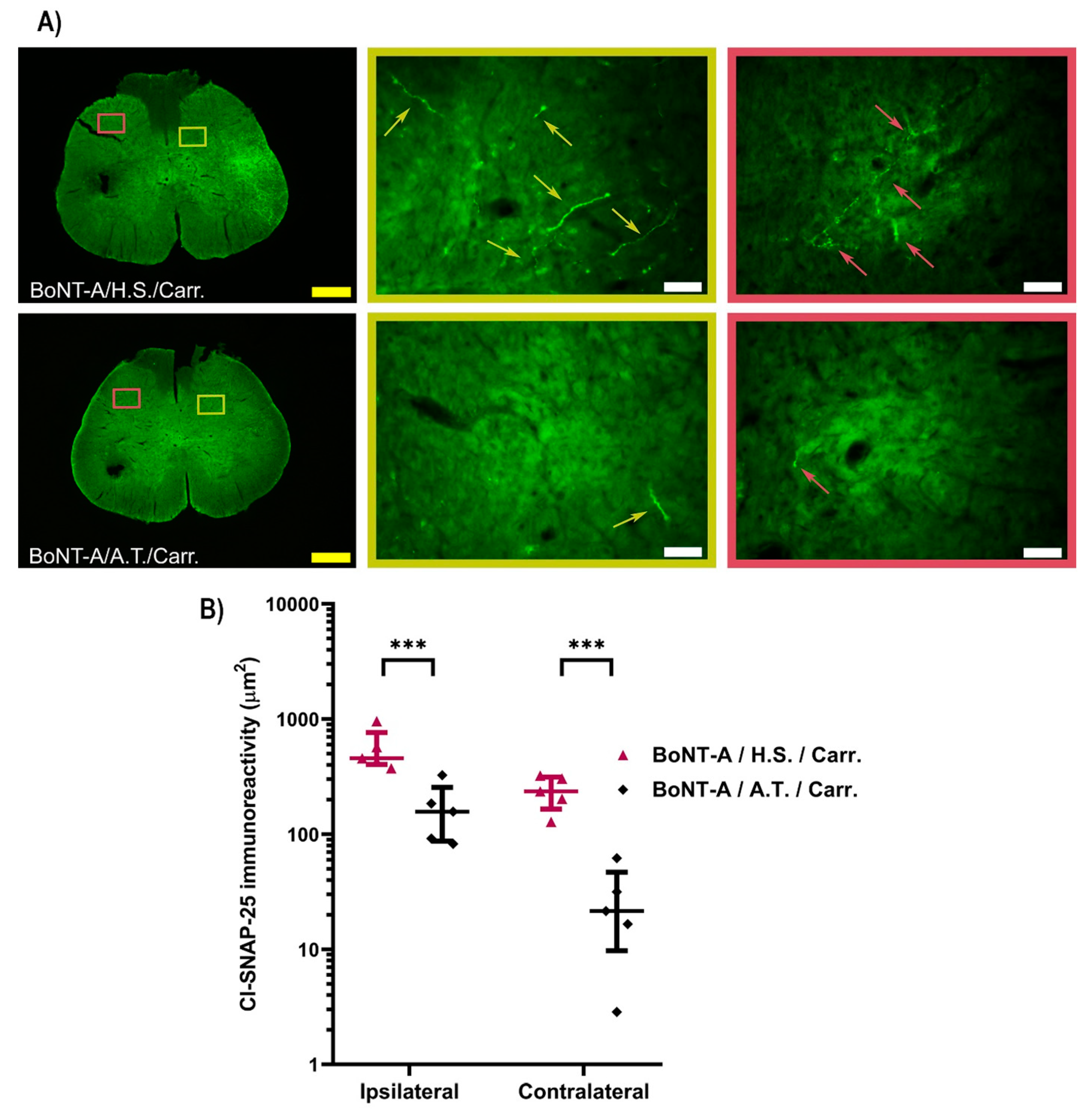 Toxins 17 00140 g002