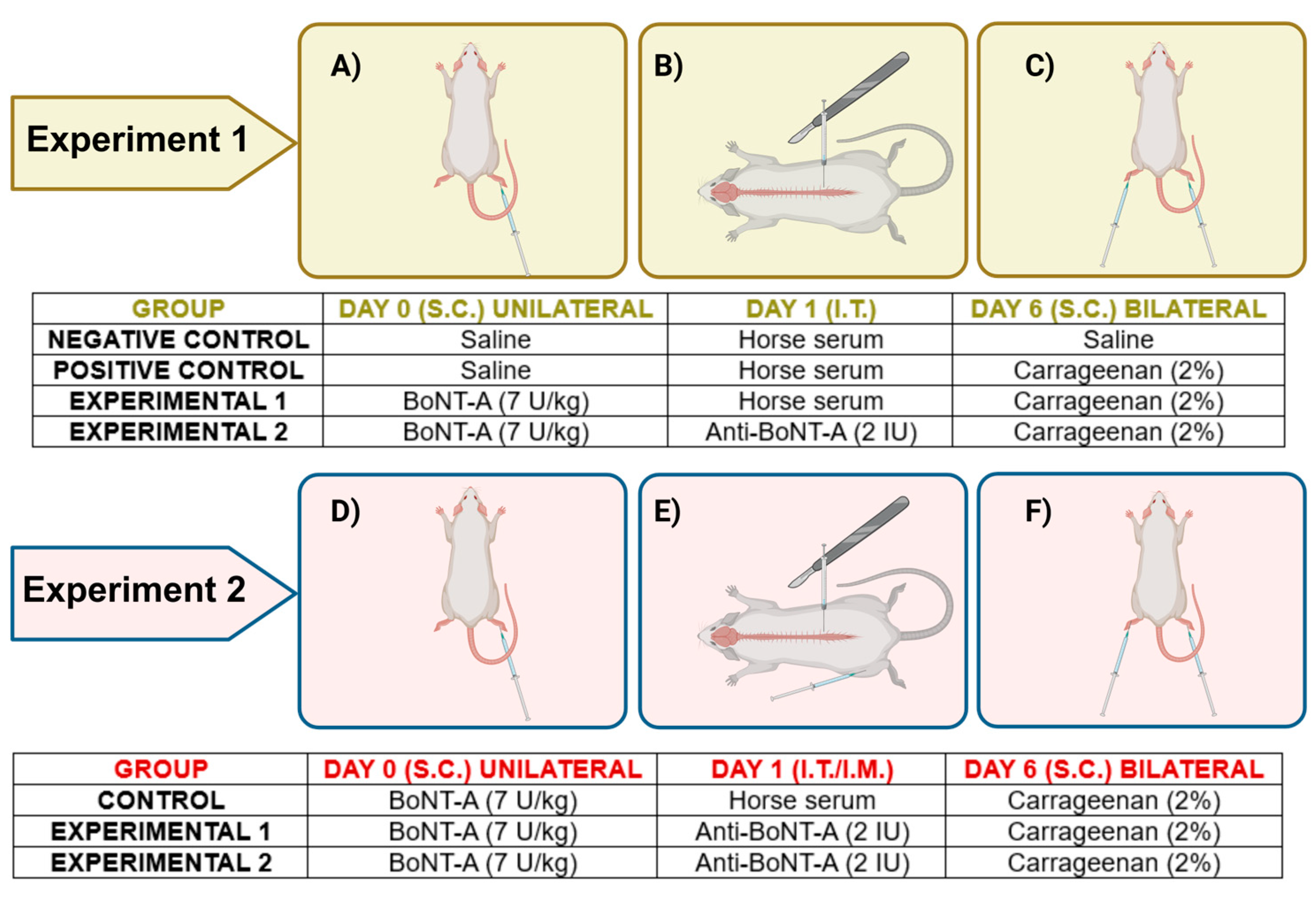 Toxins 17 00140 g004