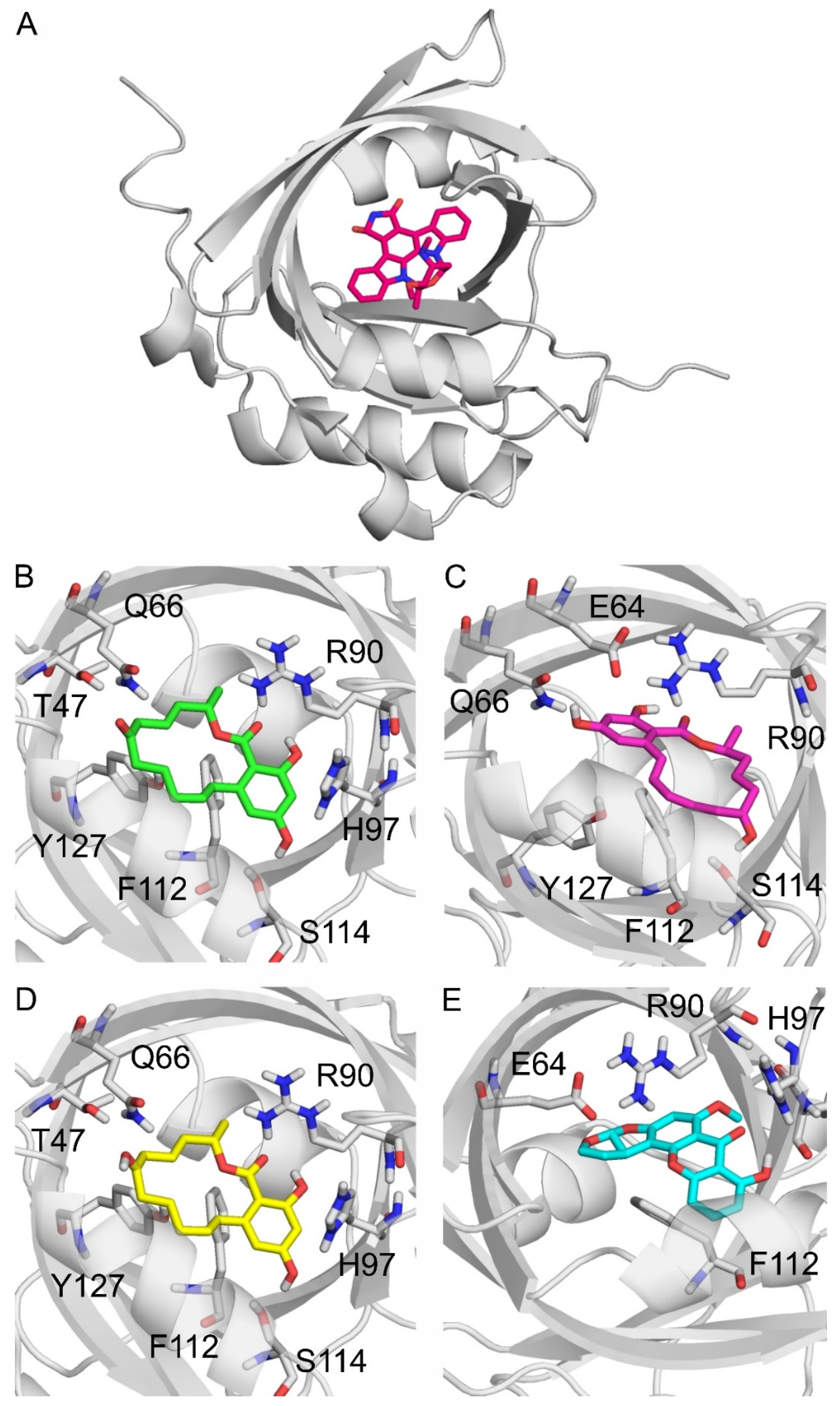 Toxins 17 00151 g006