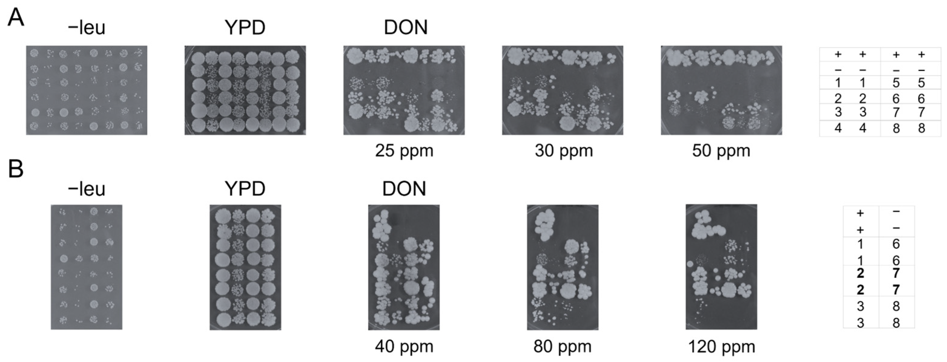 Toxins 17 00153 g003