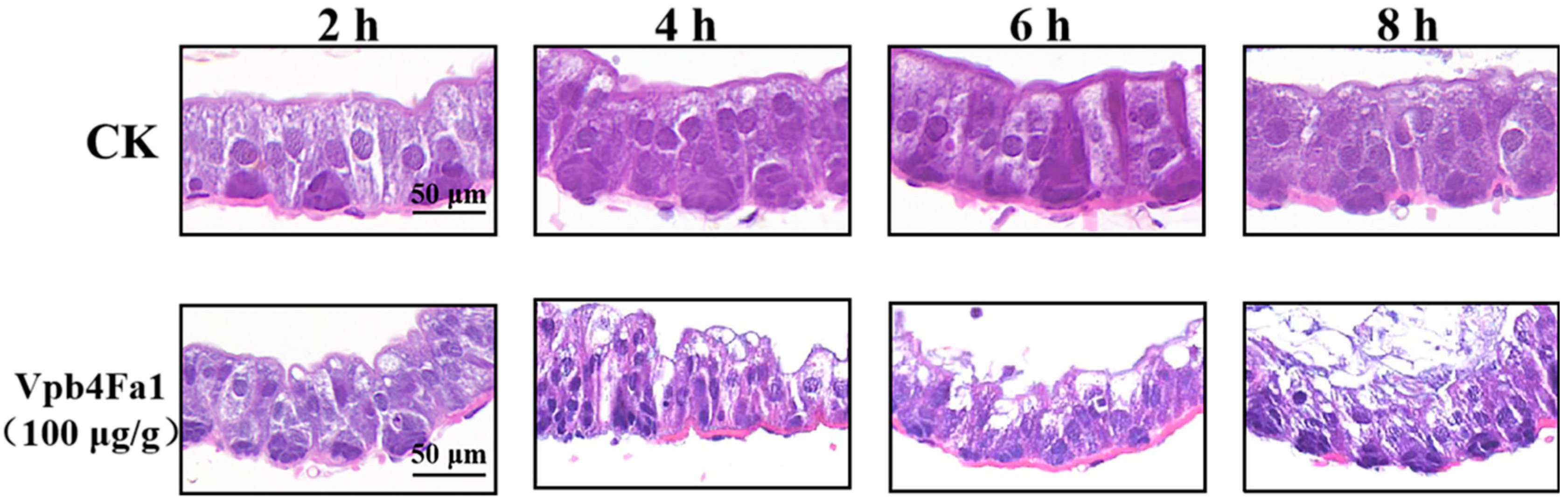 Toxins 17 00167 g004 Toxins 17 00167 g004